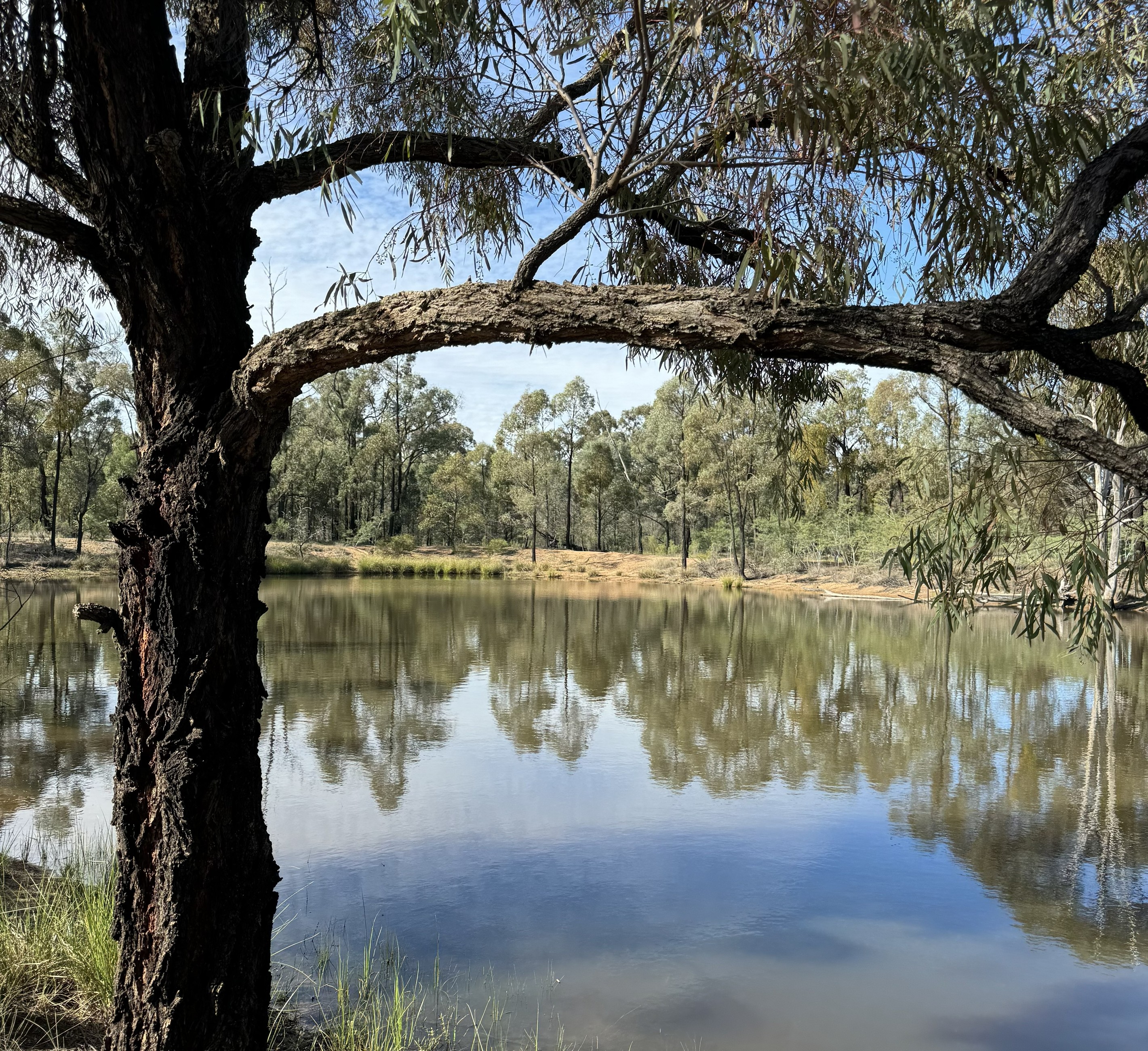 3L Wandarra Road, Brocklehurst, NSW 2830