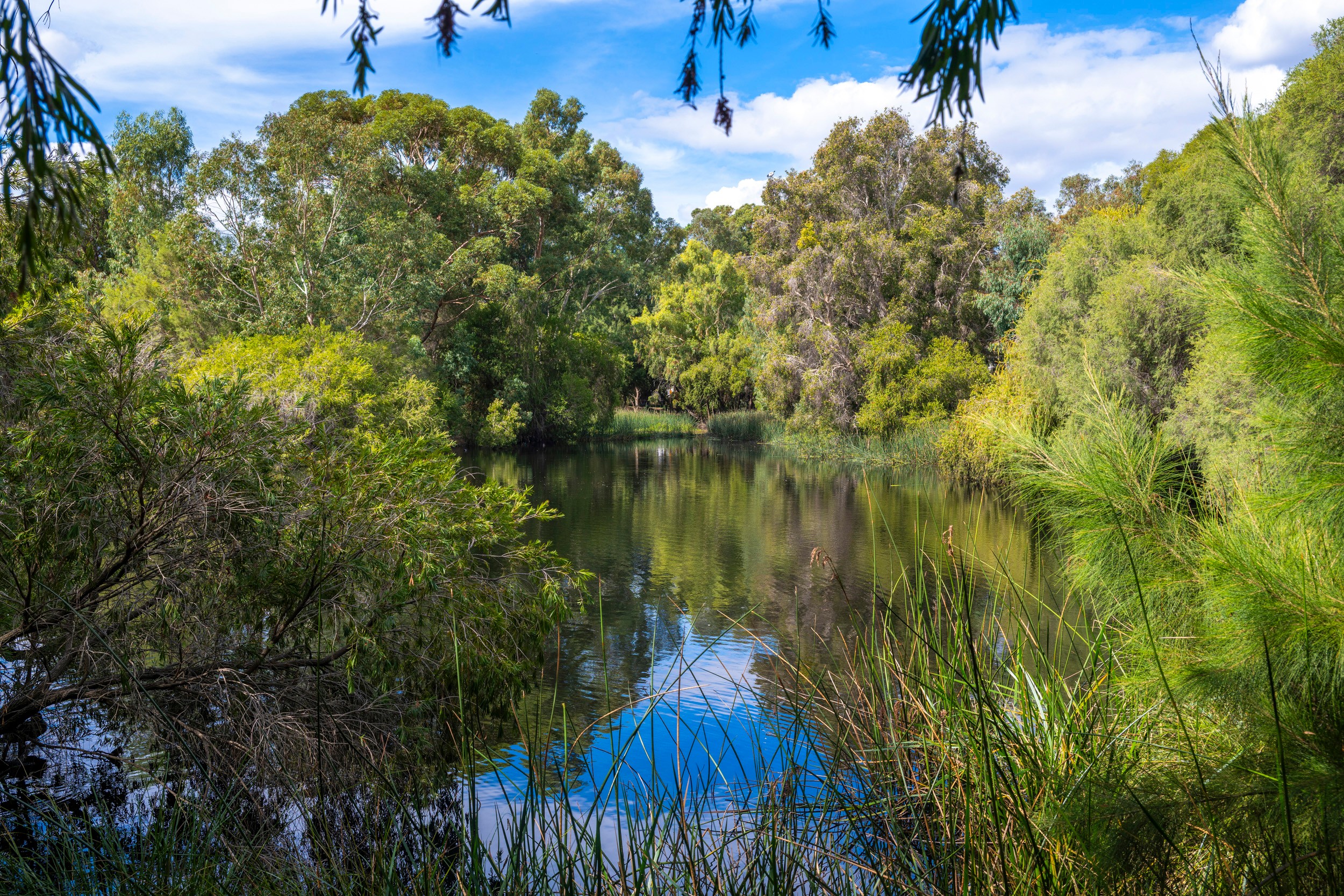 38 Rosebery Street, Jolimont, WA 6014