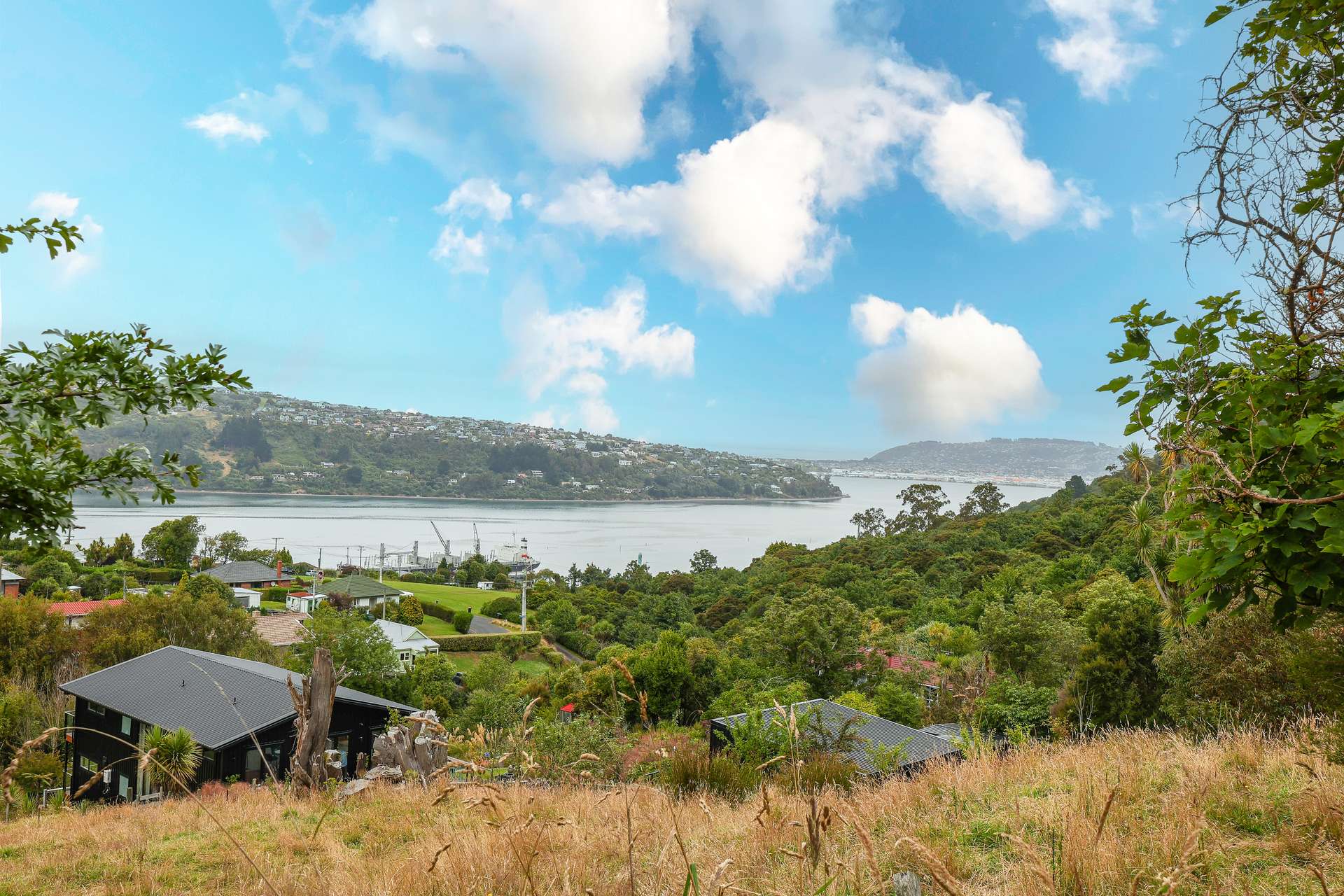 12 Rimu Street photo 21