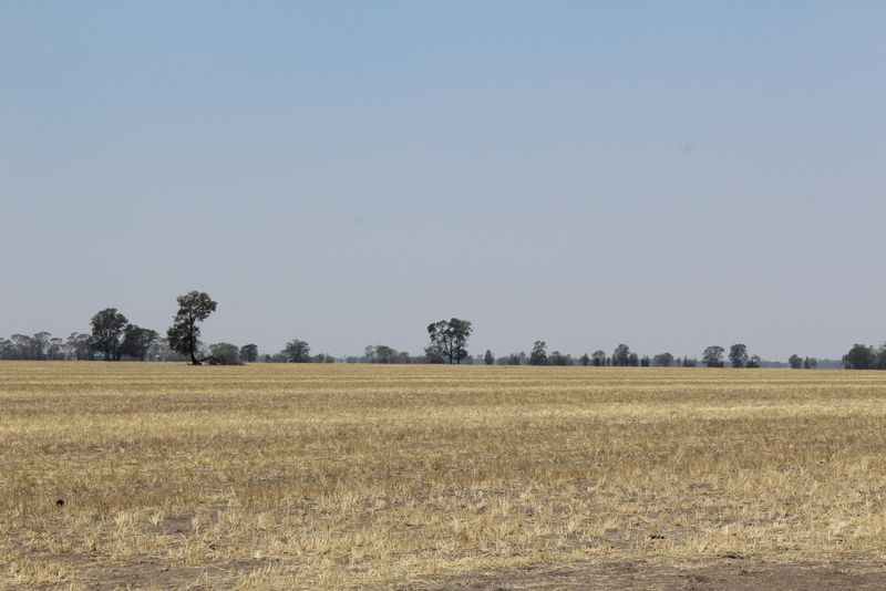 Ray White Rural & Livestock • '' Kyona