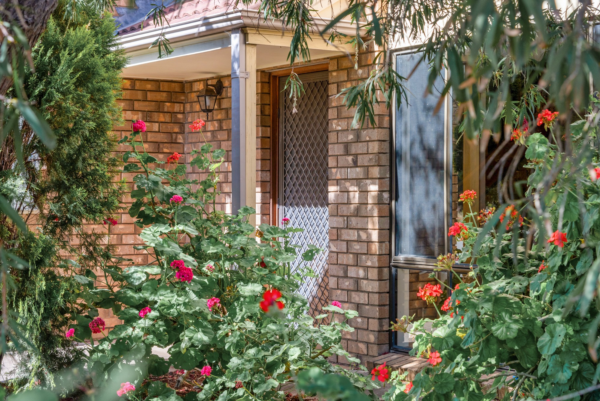 2A Favell Court, Morphett Vale, SA 5162