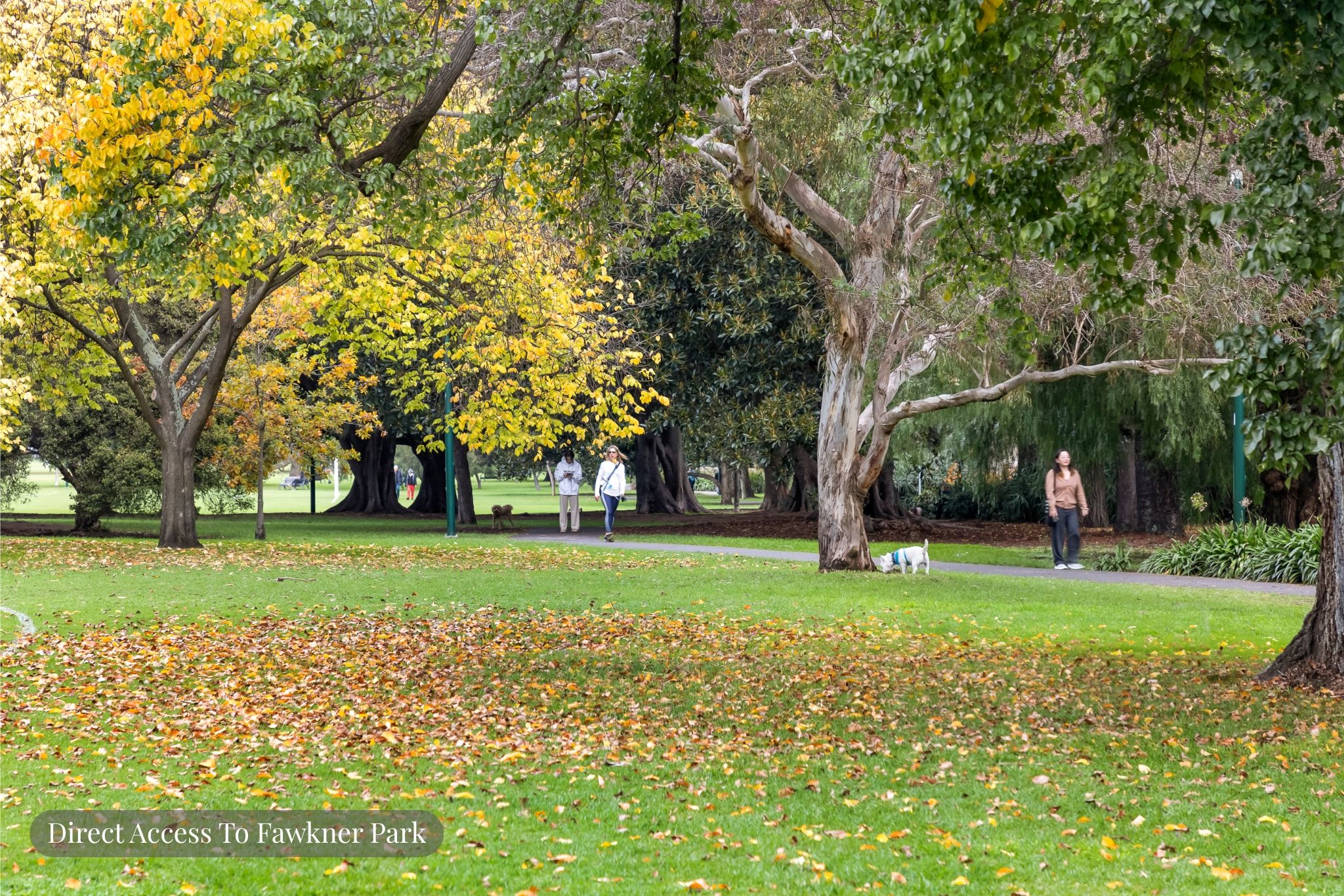 11/449-453 St Kilda Road — photo 9 of 11
