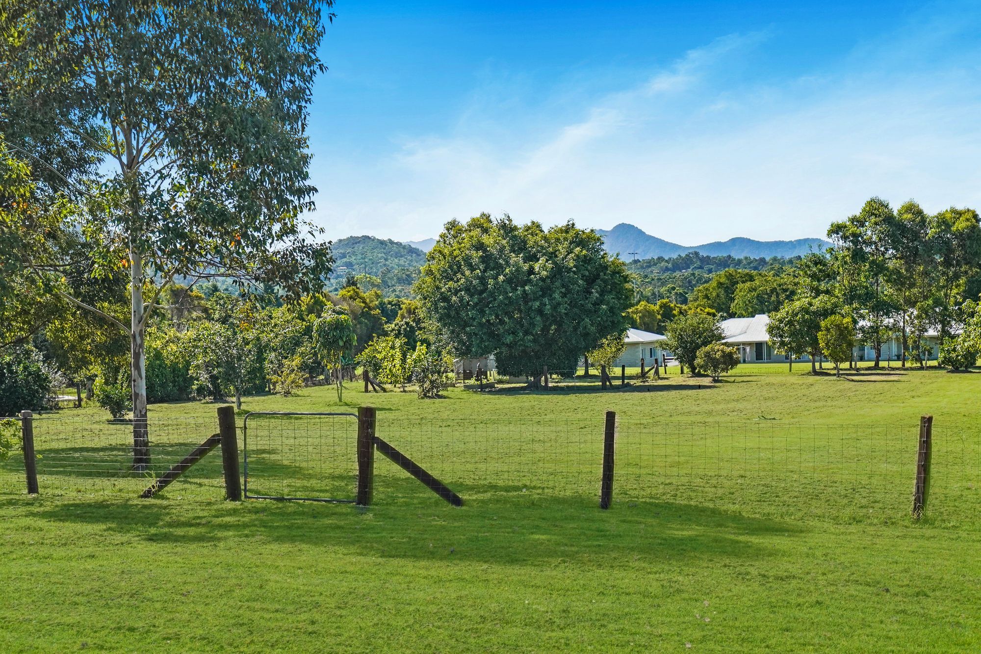 25 Ascot Crescent, Samford Valley, QLD 4520