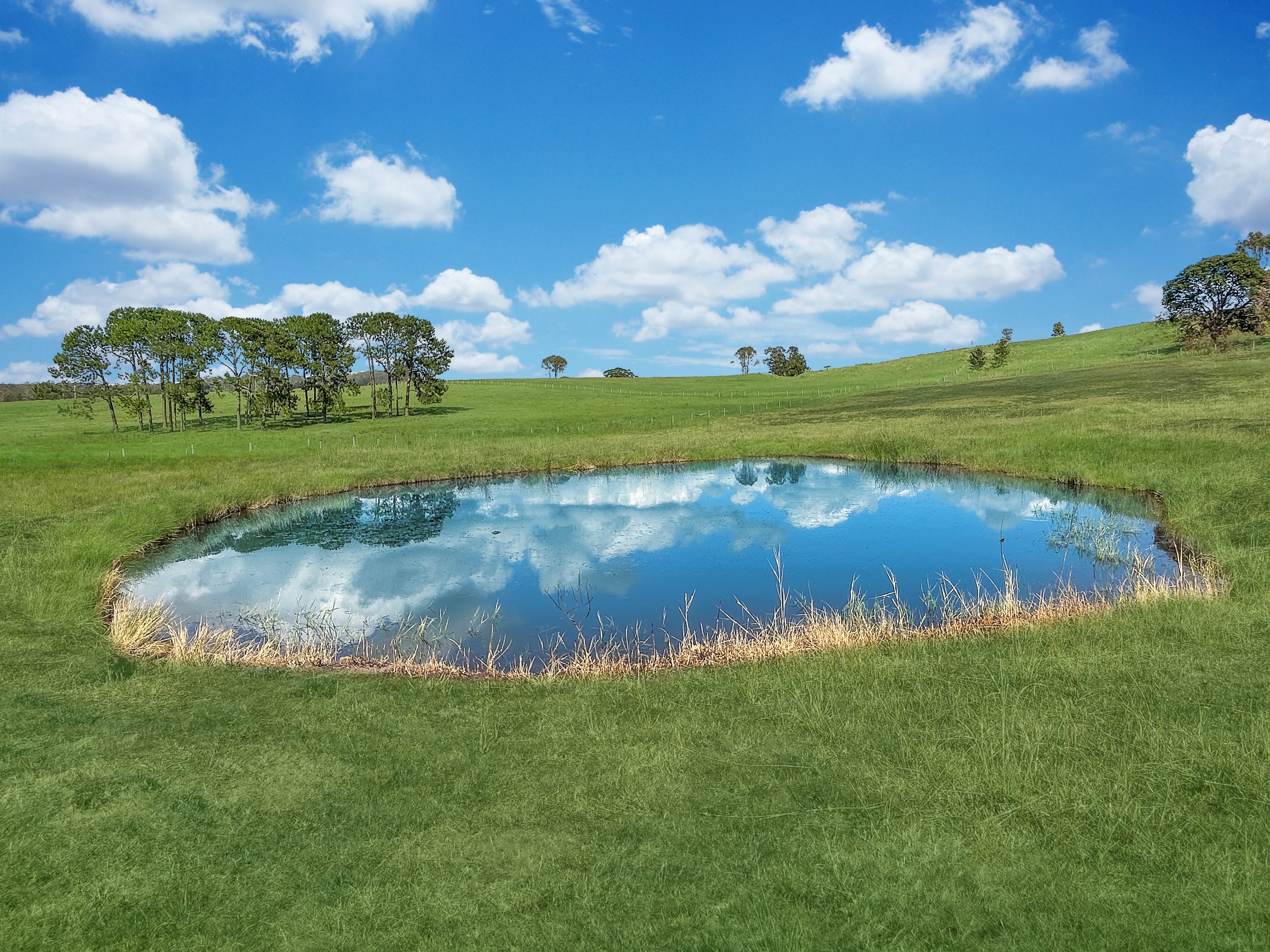 Lot 1/4355 Bruxner Highway, Piora, NSW 2470