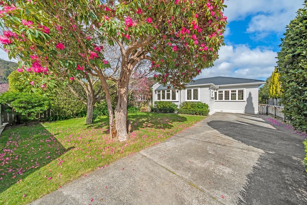 10 Norton Park Avenue, Fairfield, Lower Hutt City