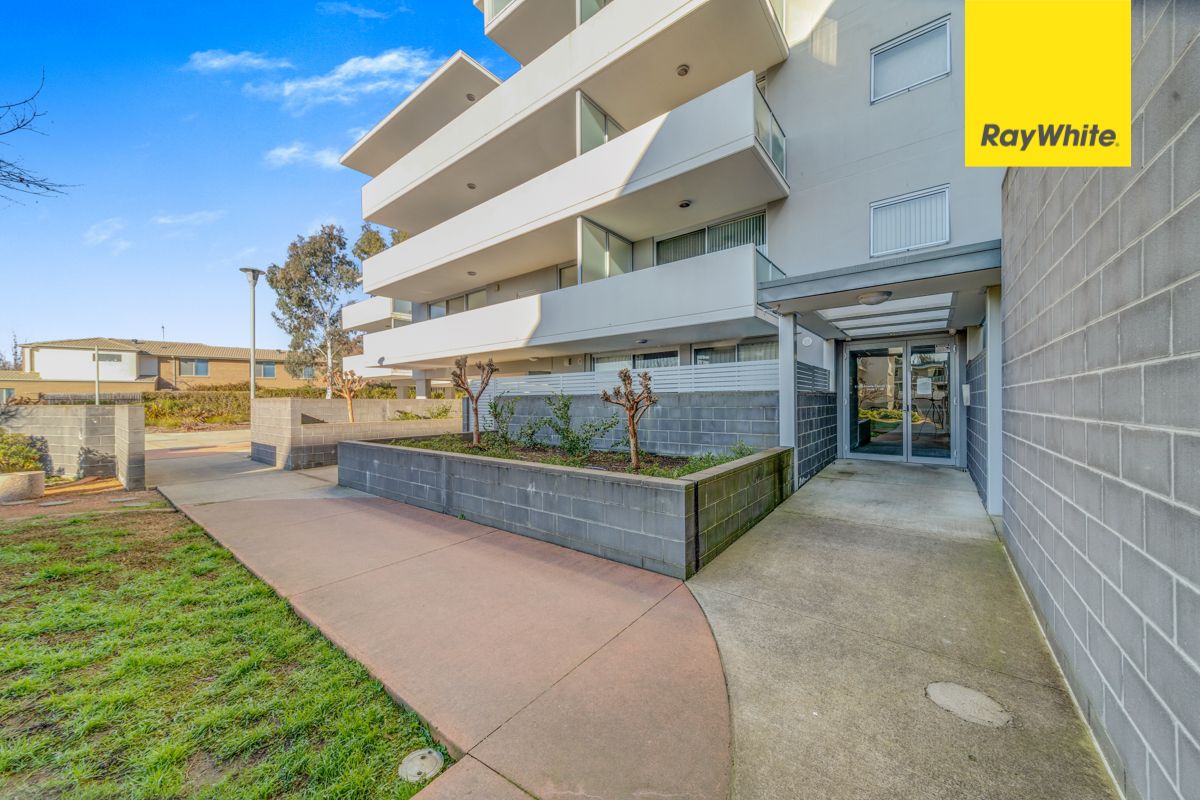 7/8 Baudinette Circuit, Bruce, ACT 2617
