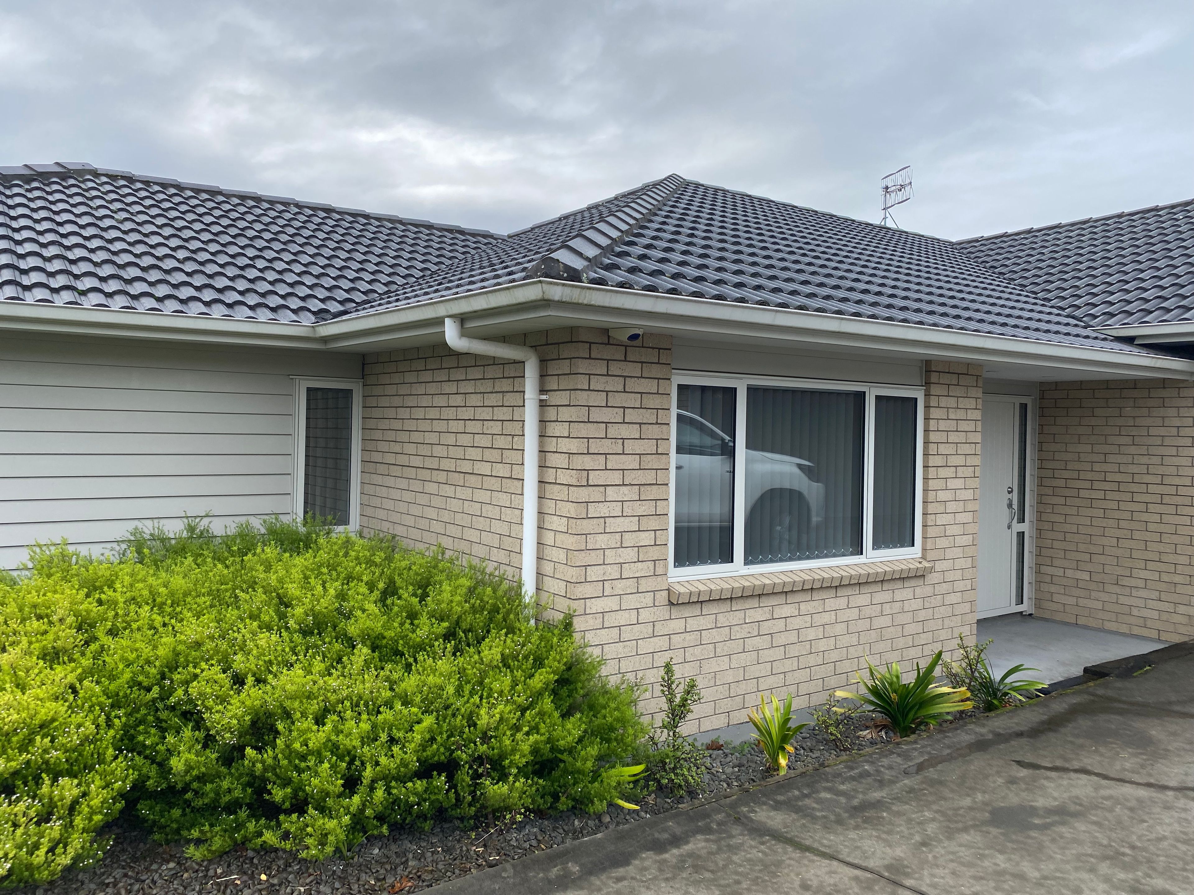 Pyes Pa, Tauranga City