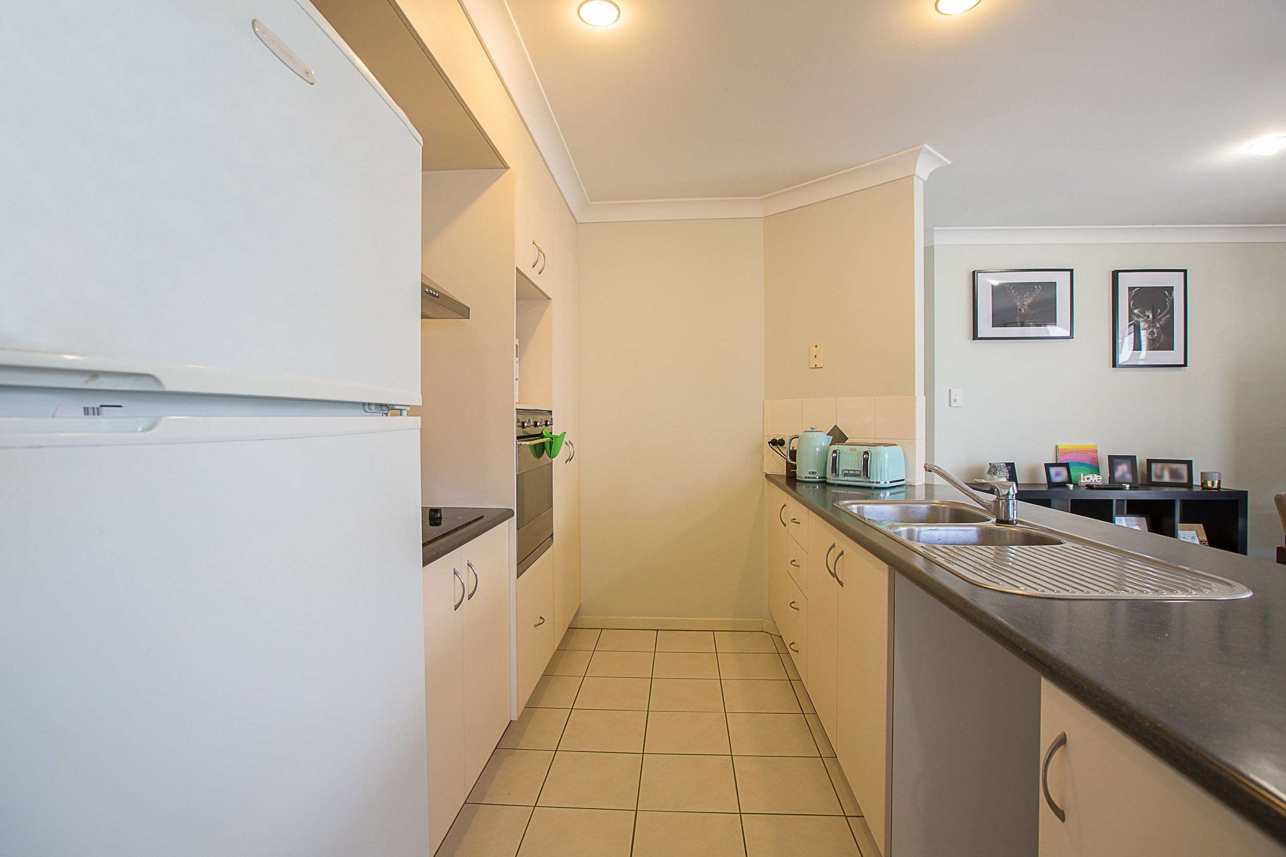 19 Trillers Avenue, Coomera, QLD 4209