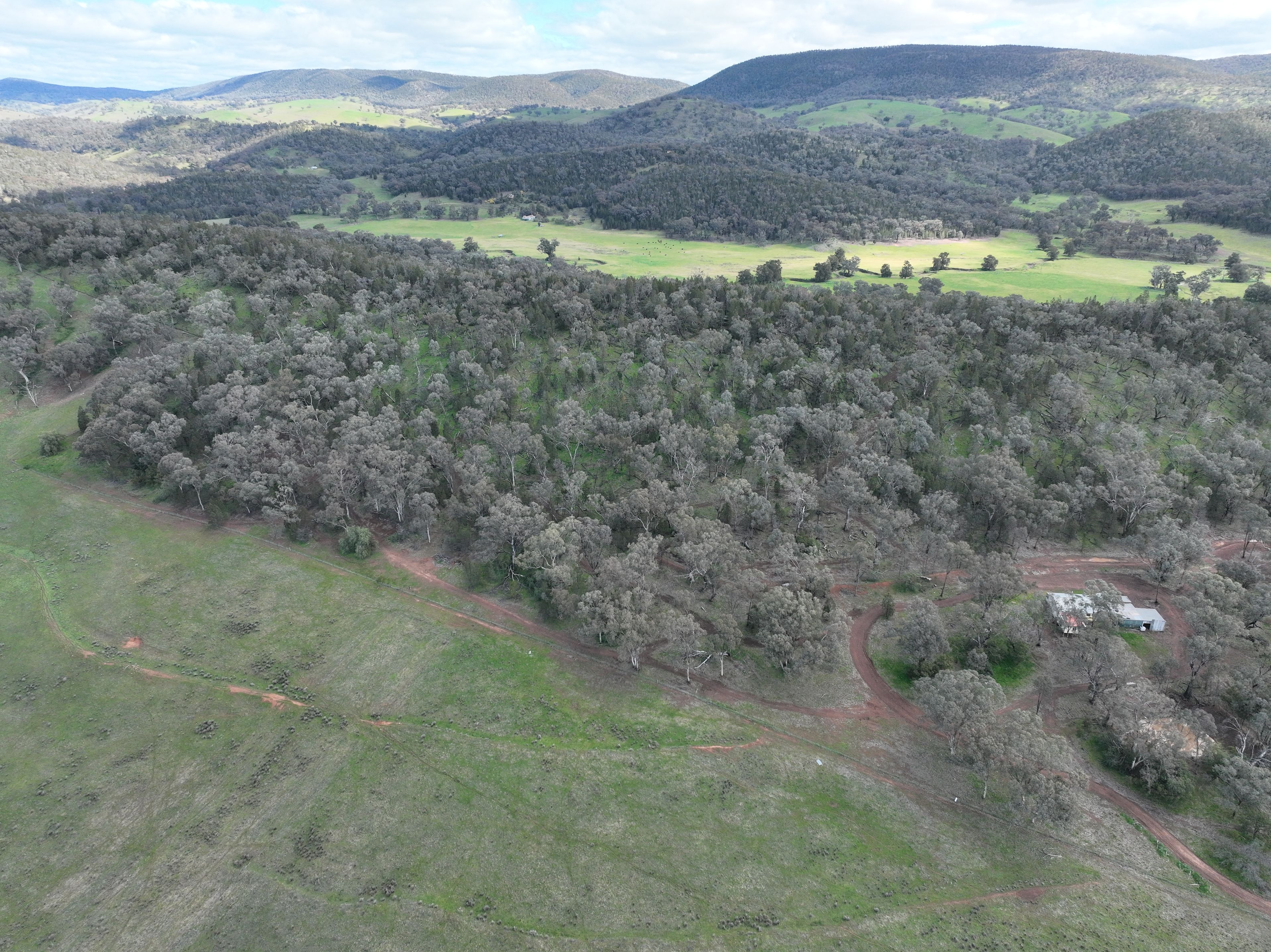 'Fox Hill' 573 Blathery Creek Road — photo 6 of 18