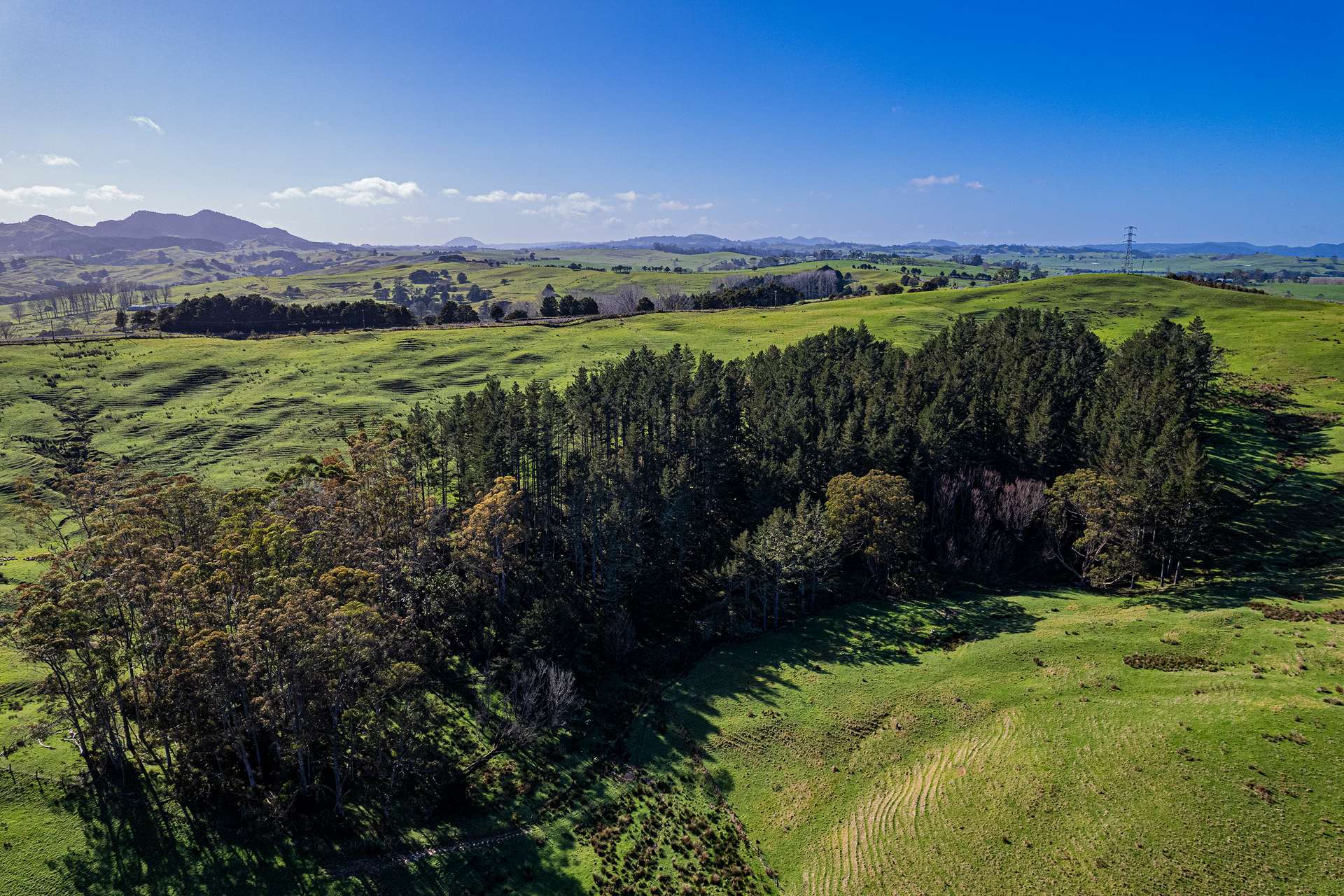 0 Cnr Milne and Aponga Stream Road photo 16