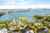 41 Maritime Terrace photo 2