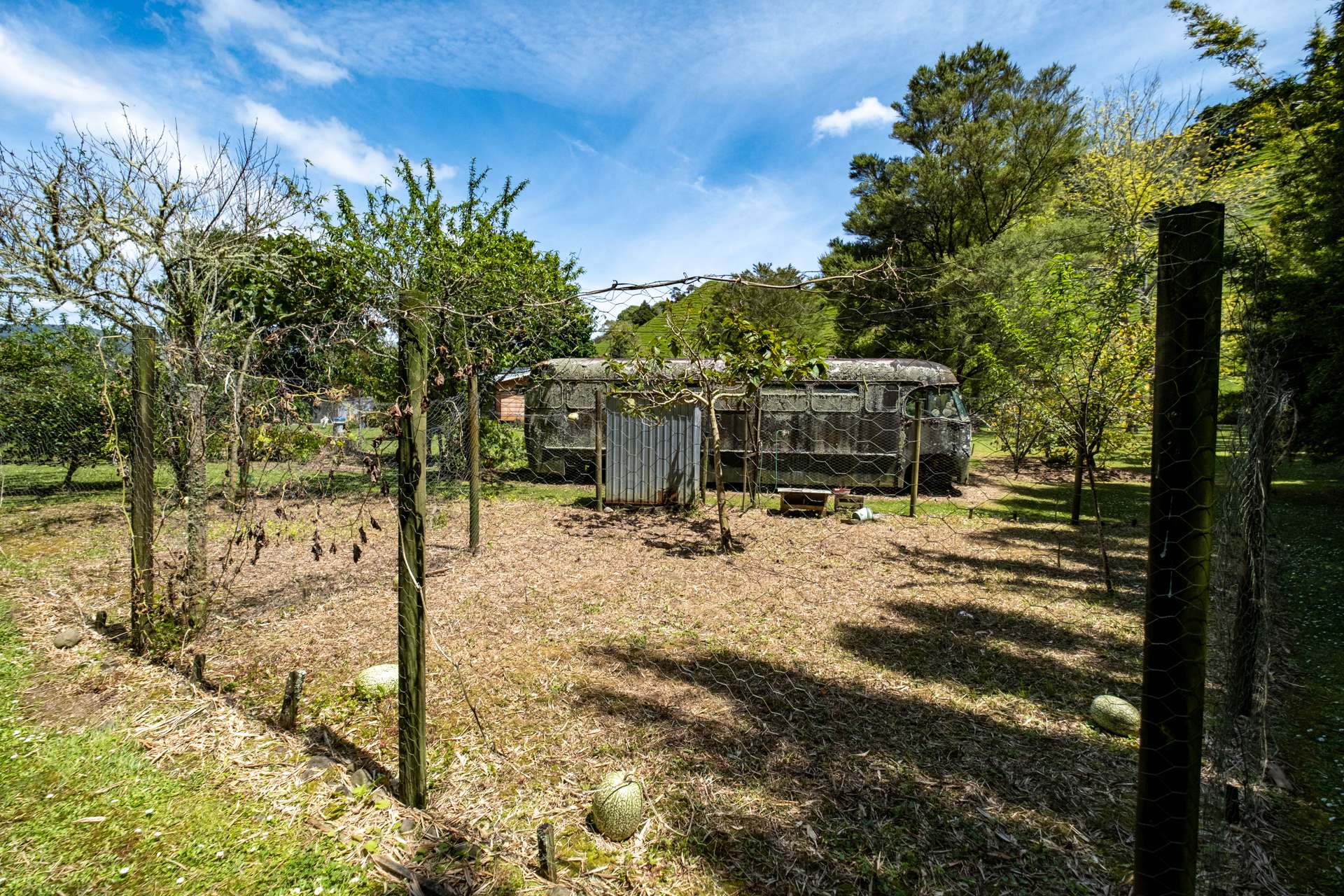 62 Crene Road photo 28