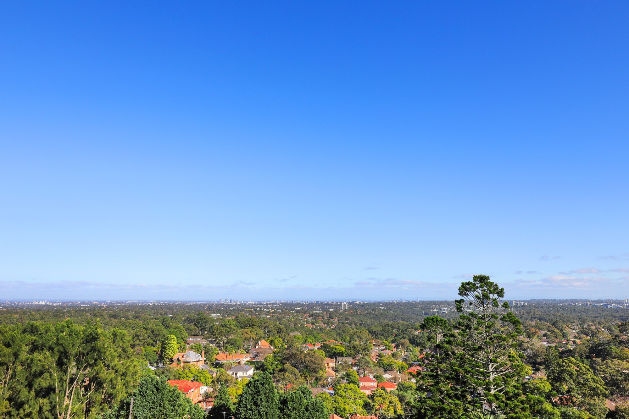 114/809 Pacific Highway, Chatswood, NSW 2067