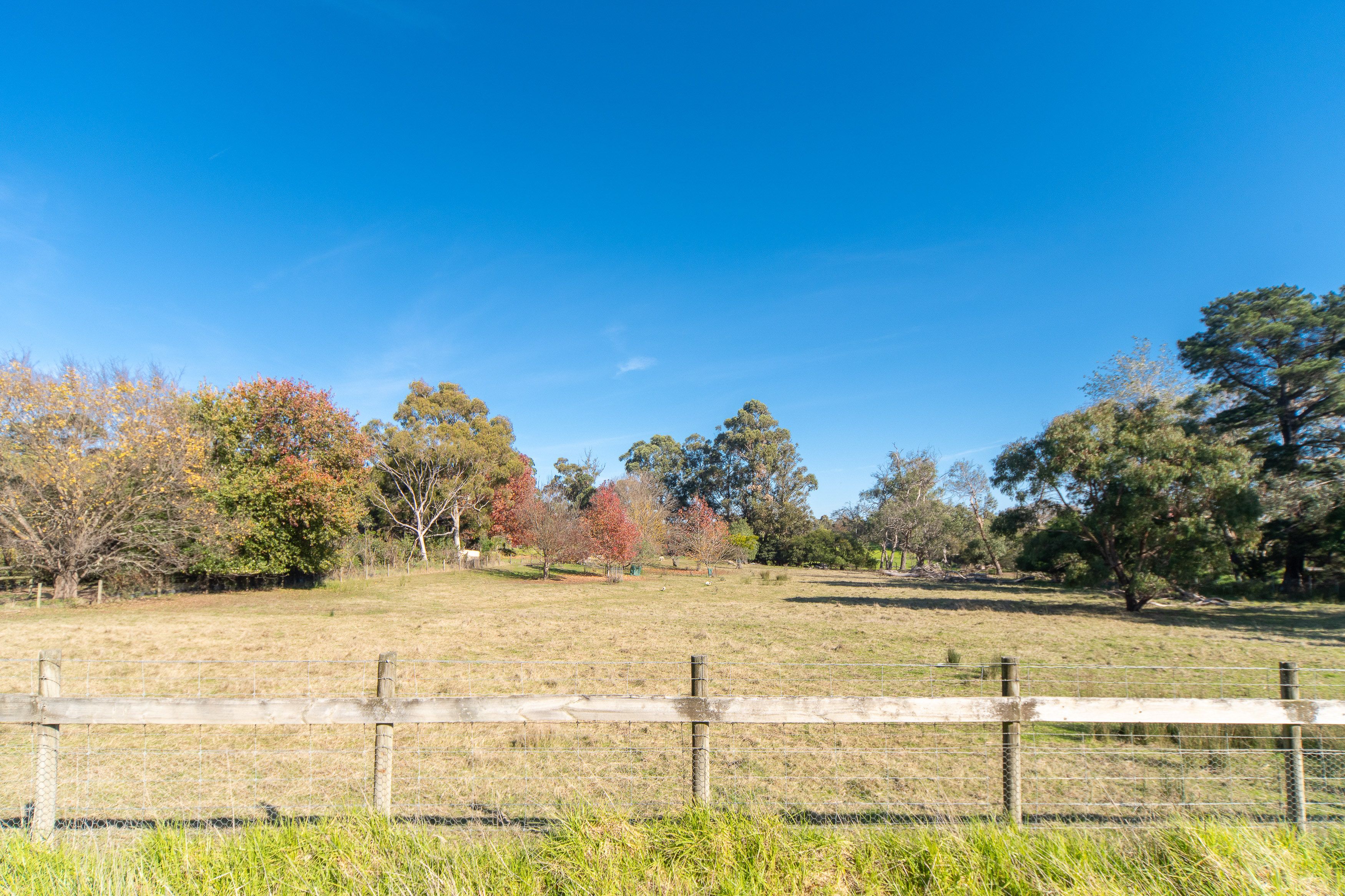 5 Kelvin Grove, Langwarrin, VIC 3910 Sold Acreage/SemiRural Real