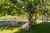 748 Norfolk Road photo 20