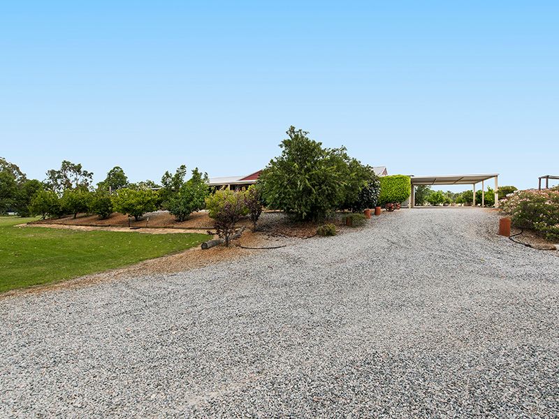 57 Young Road, Baldivis, WA 6171