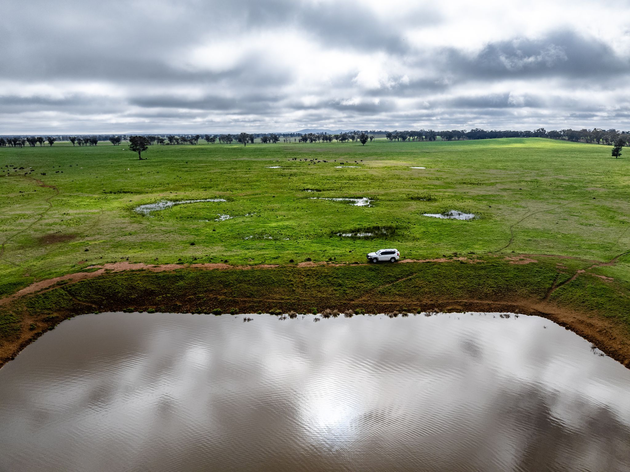 "West Ardnaree" Cnr Newell & Kurrawbya Roads, TUBBUL VIA — photo 13 of 26