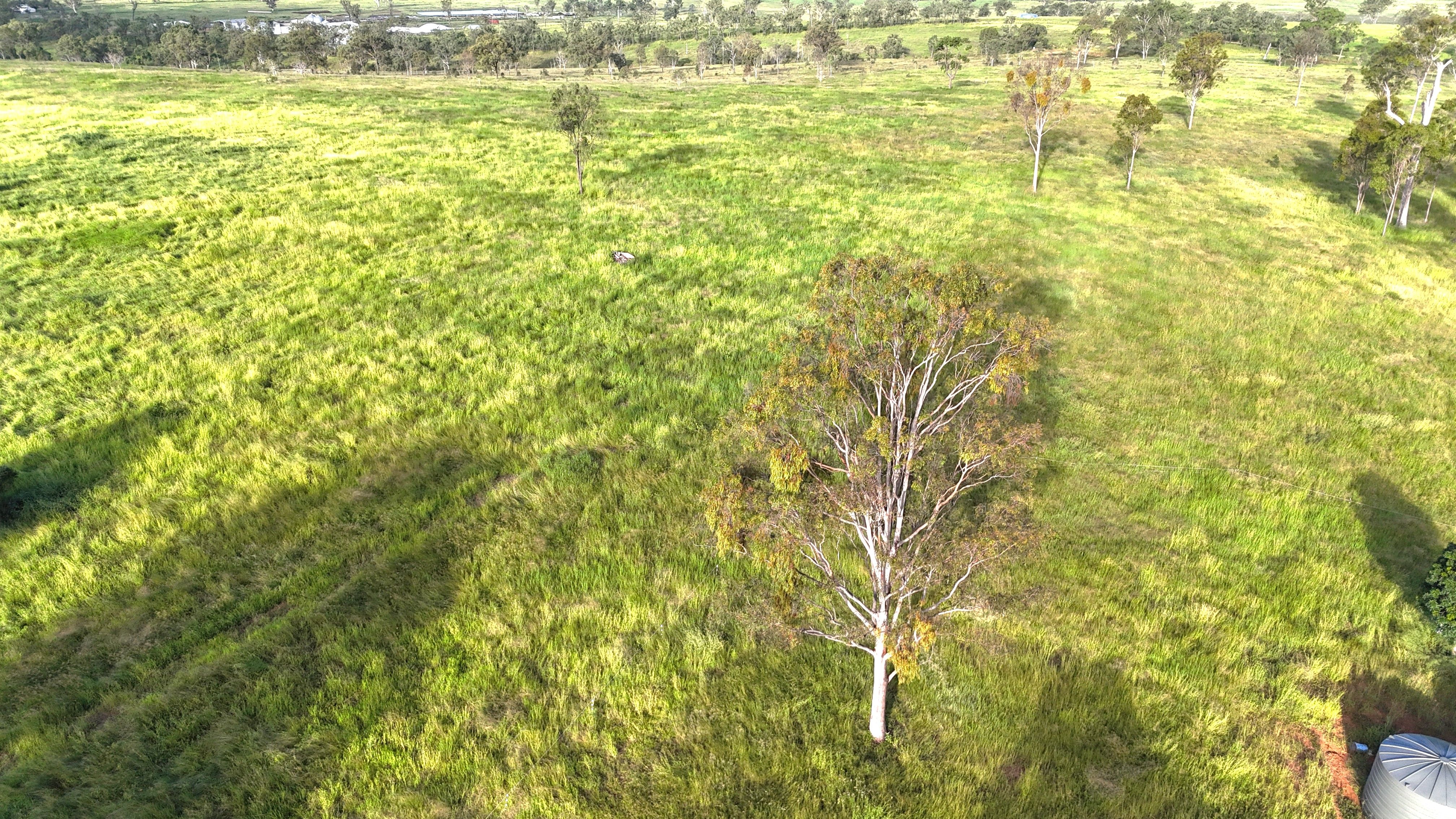 Lot 1 Road, Windera, QLD 4605 Rural Property for Sale Ray