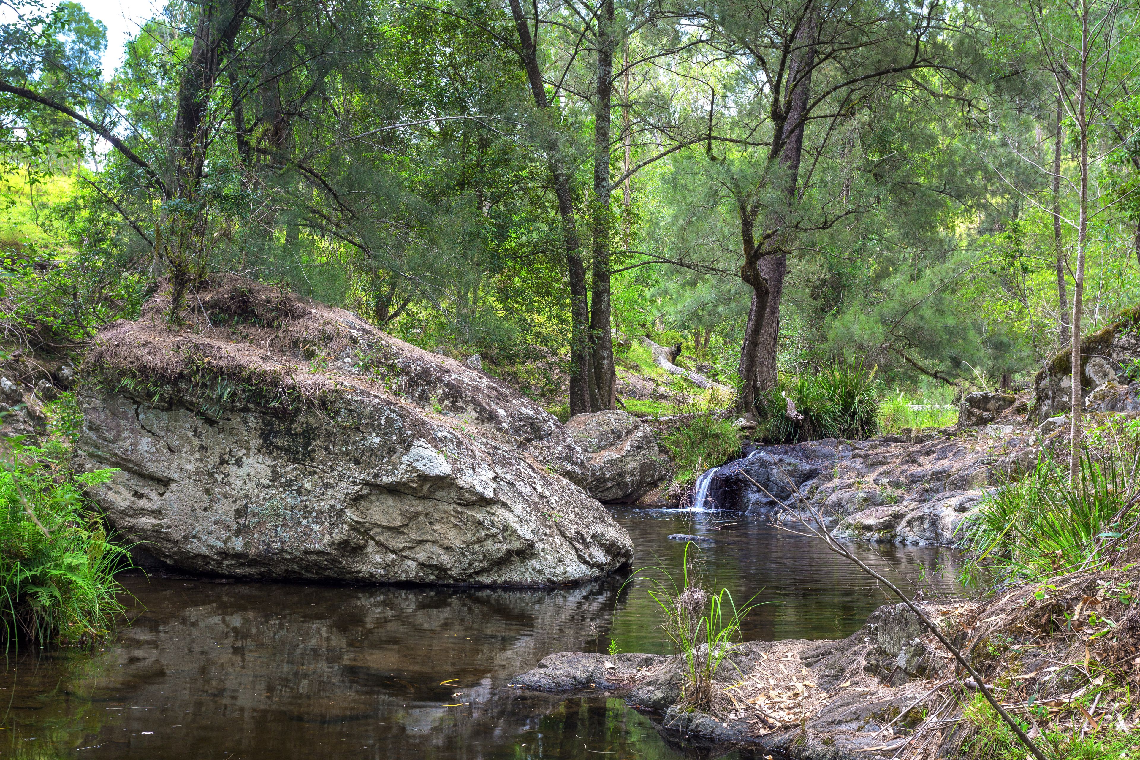 188 Enfield Range Road, Cooplacurripa, NSW 2424