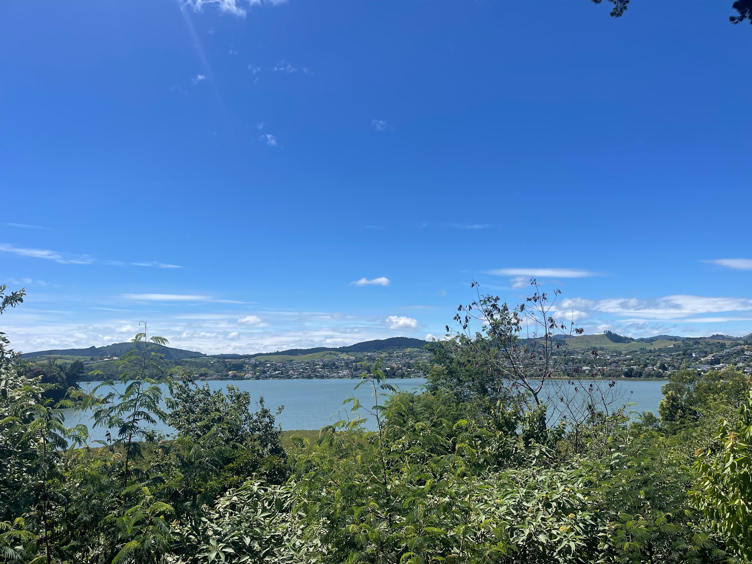 15 Maihi Crescent, Maungatapu, Tauranga City