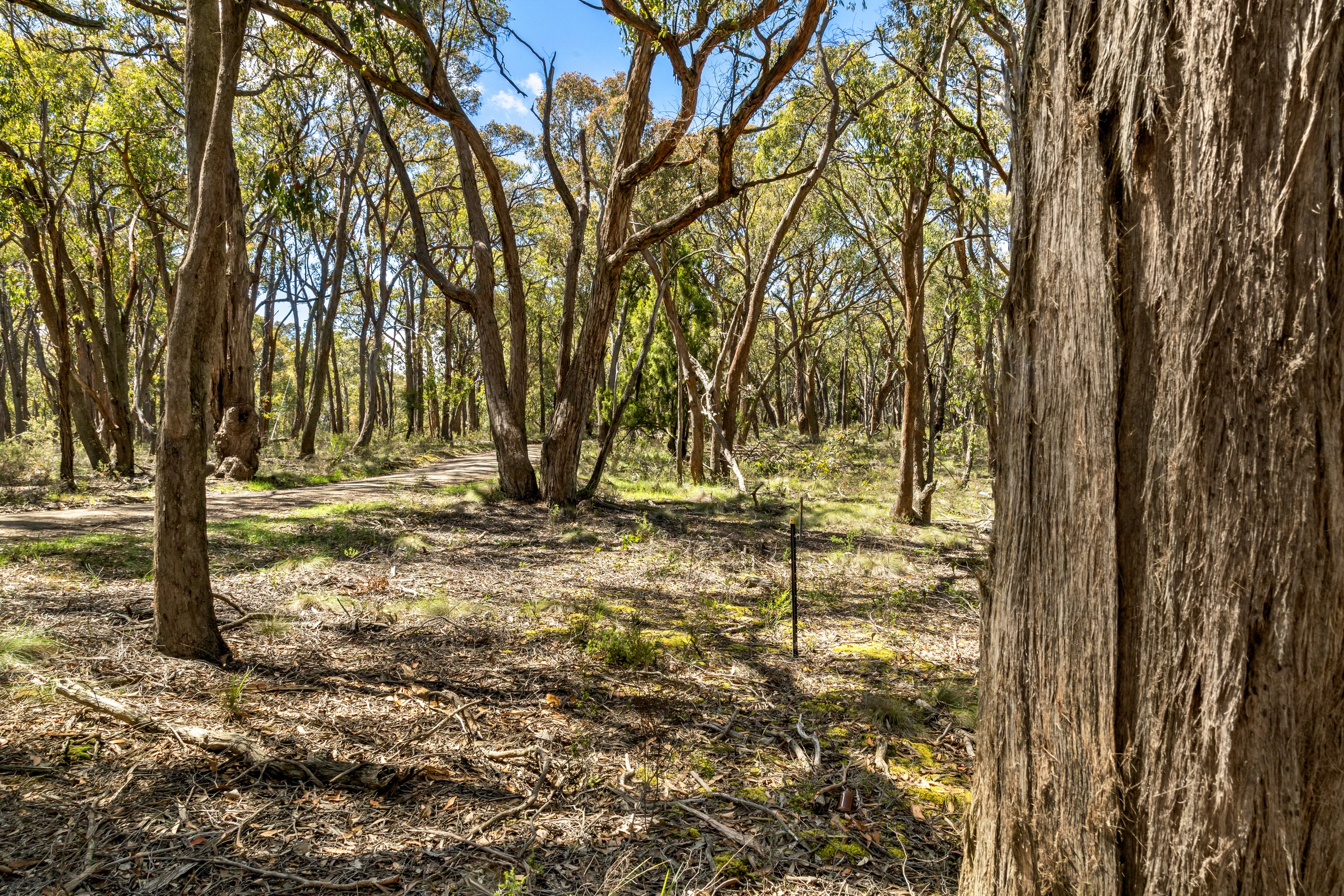 Lot 12 Rowlers Road, Snake Valley, VIC 3351