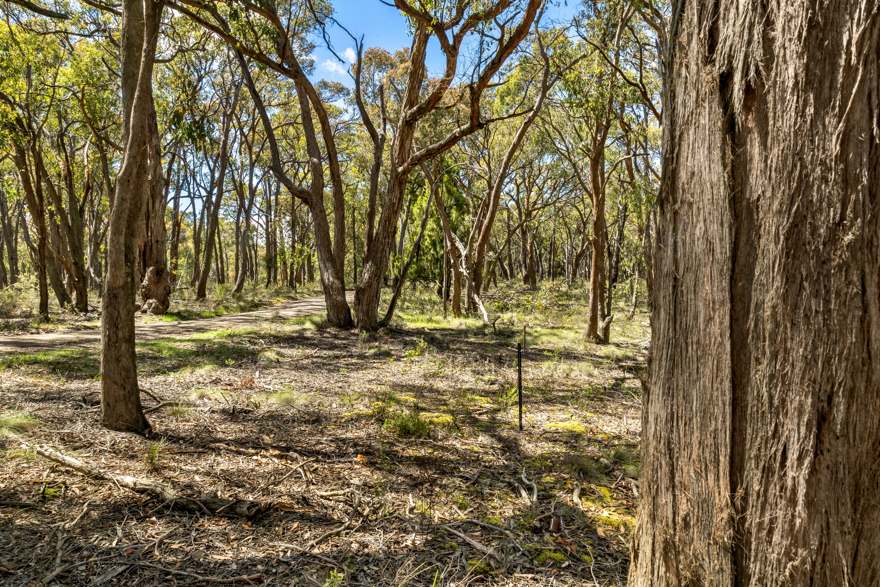 Lot 12 Rowlers Road, Snake Valley, VIC 3351