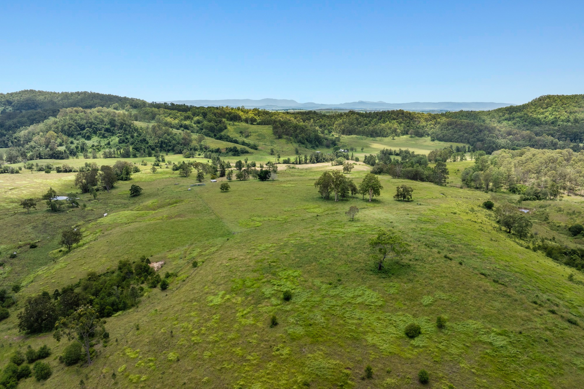 665 Theresa Creek Road, Theresa Creek, NSW 2469
