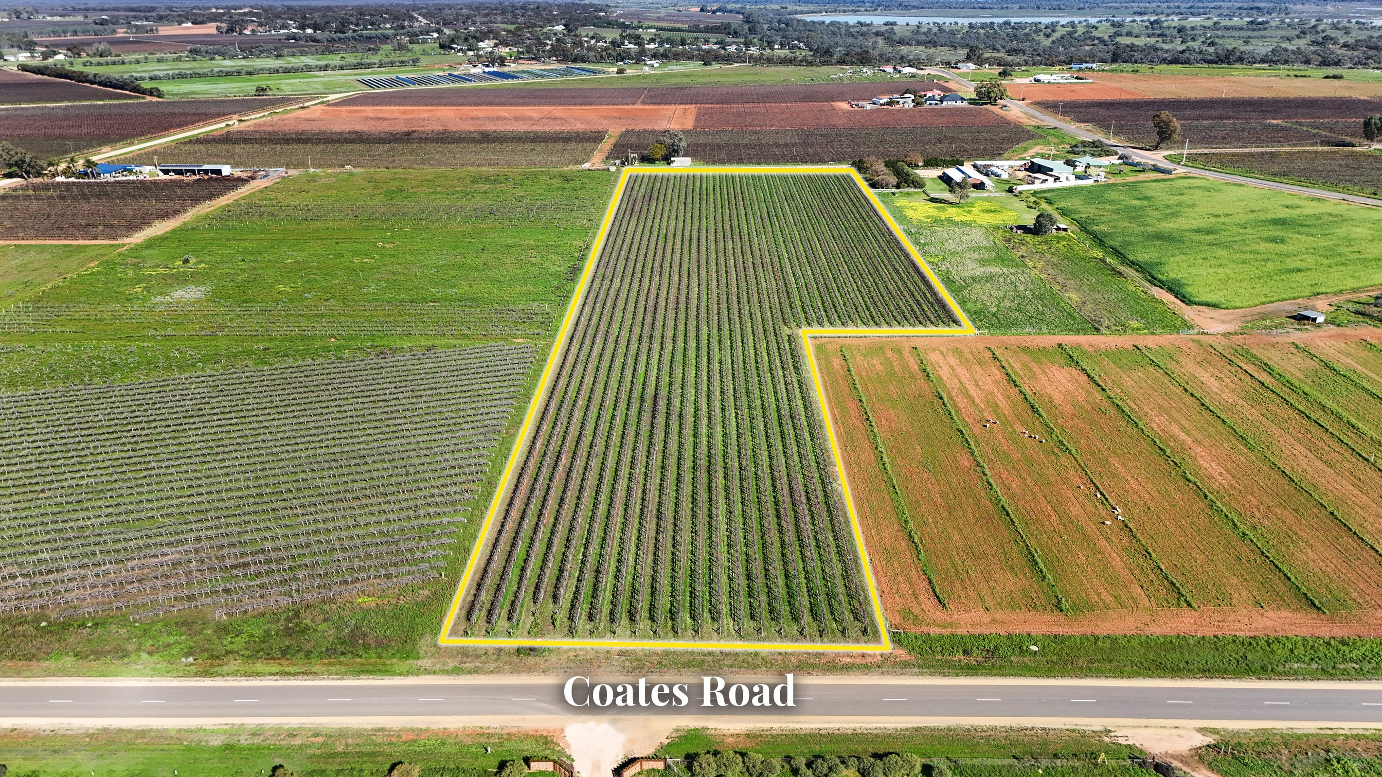 Lot 734 Coates Road, Barmera, SA 5345