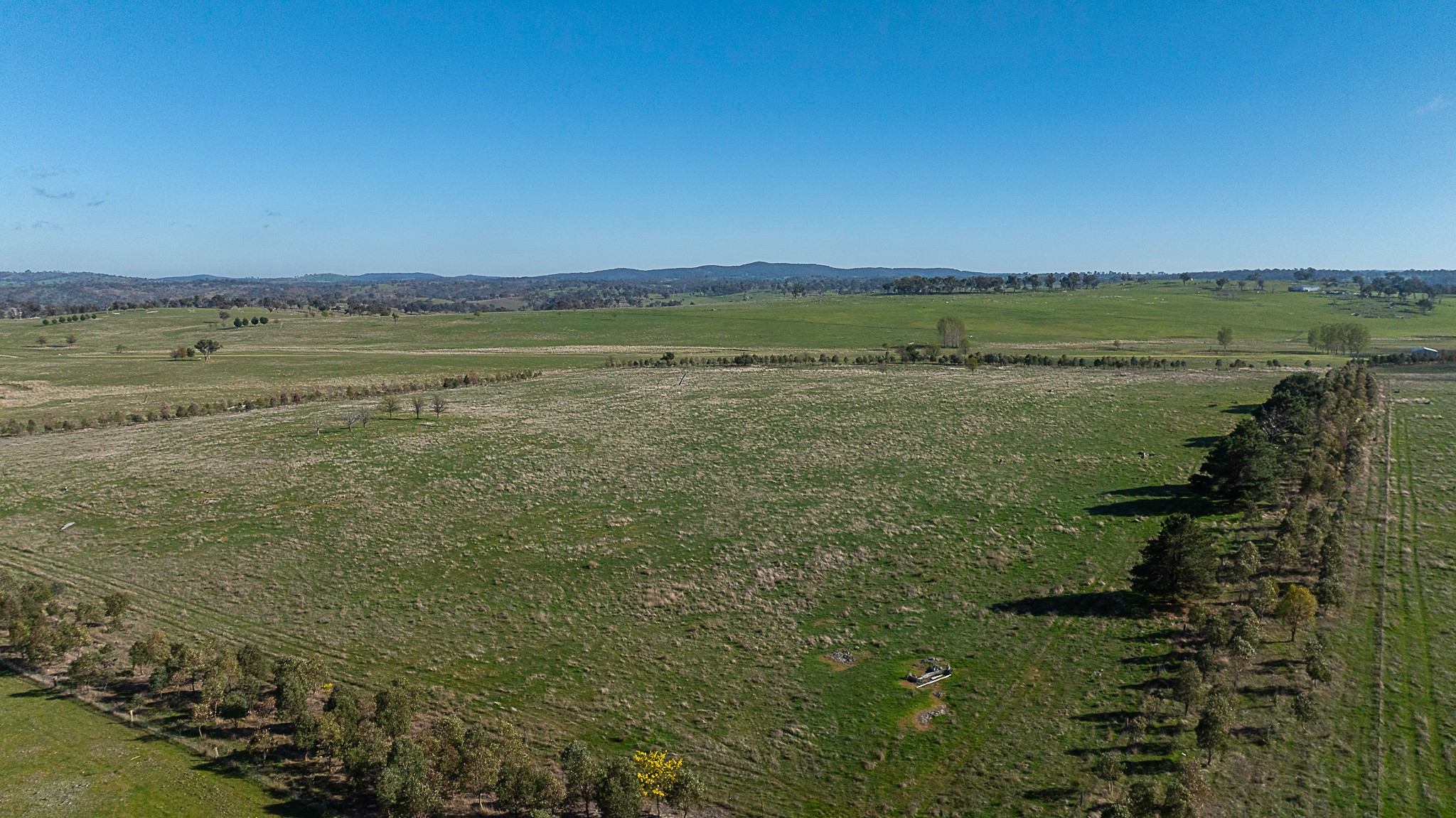 133 Bellbrook East Road, Armidale, NSW 2350