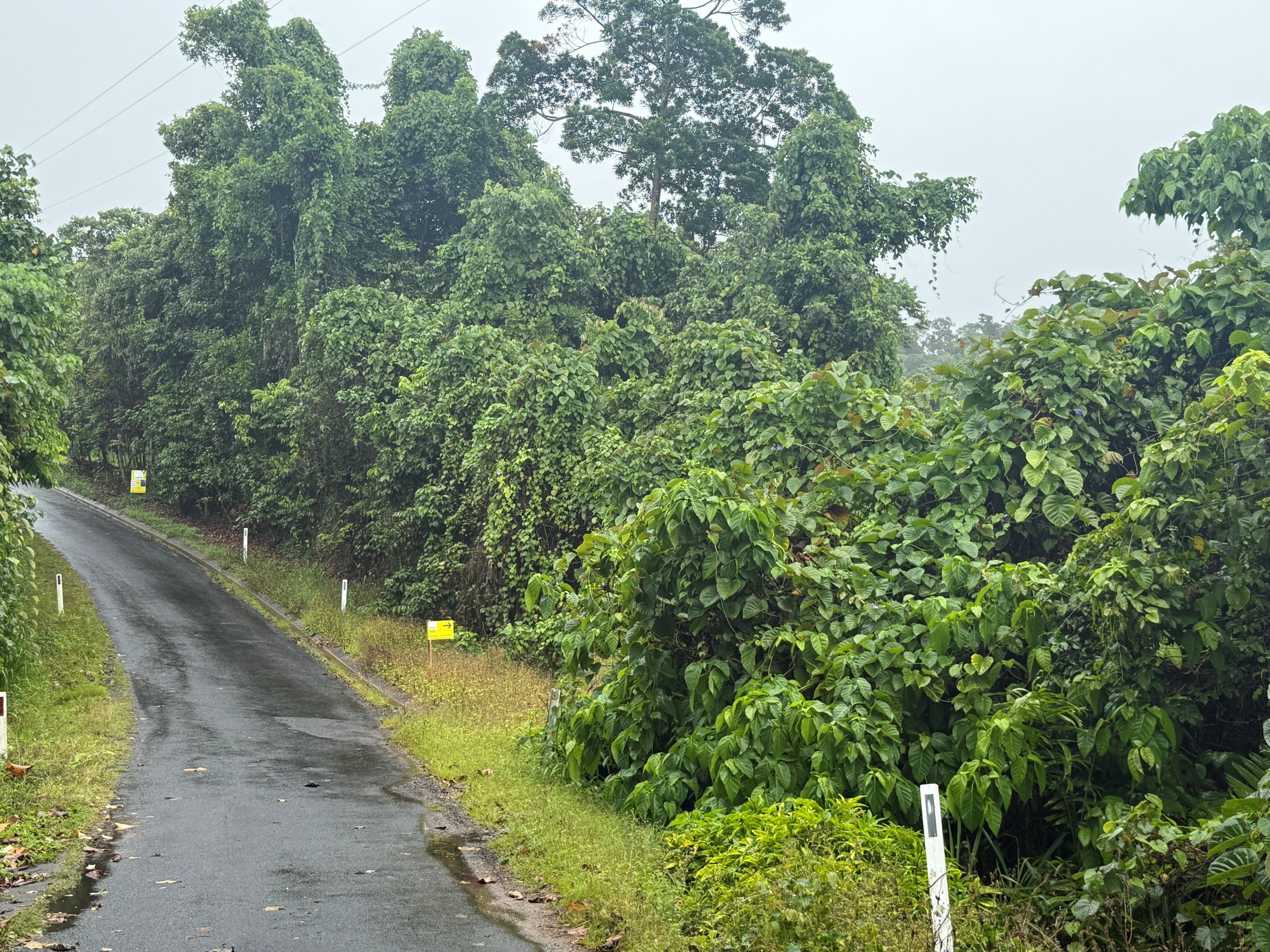 Lot 1 Holt Road, Garners Beach, QLD 4852