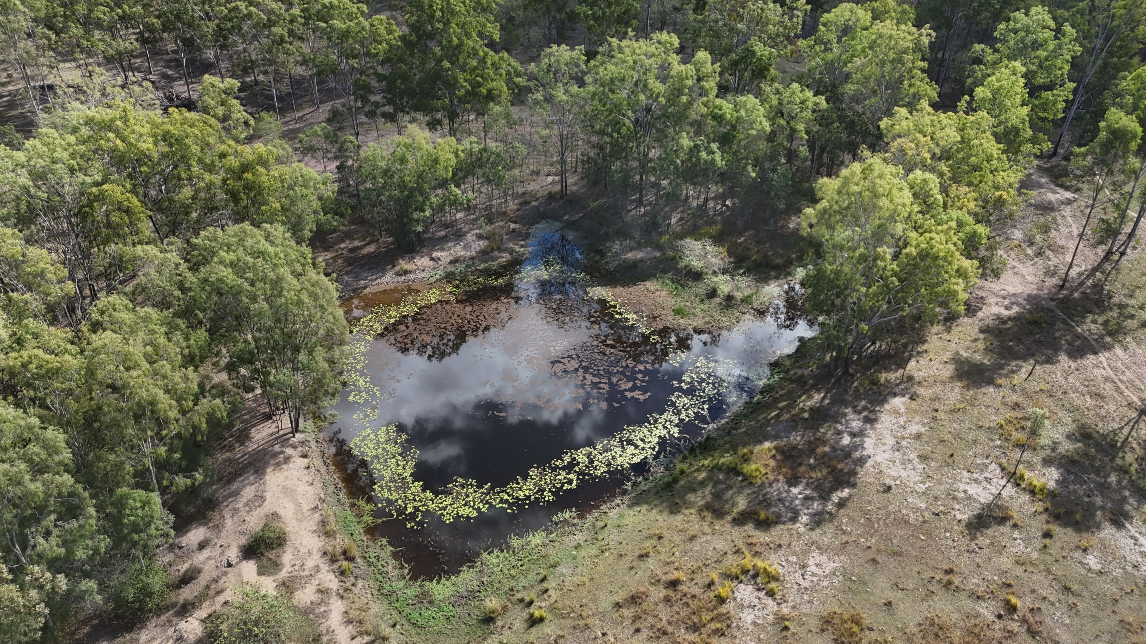 Lot 43 and Lot 50 Kalliwa Road, Mingo — photo 8 of 29
