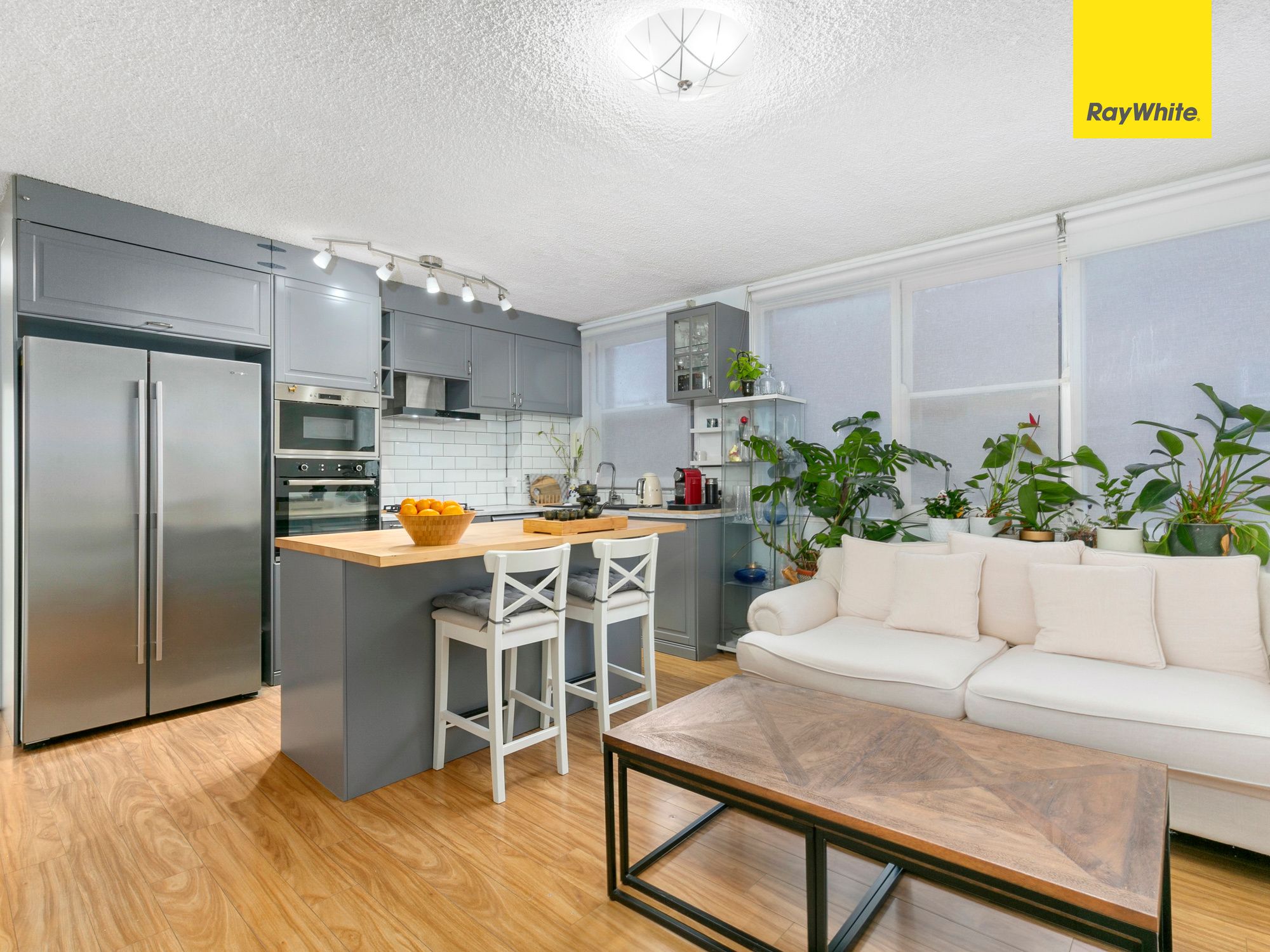 129 Evaline Street, Campsie NSW 2194