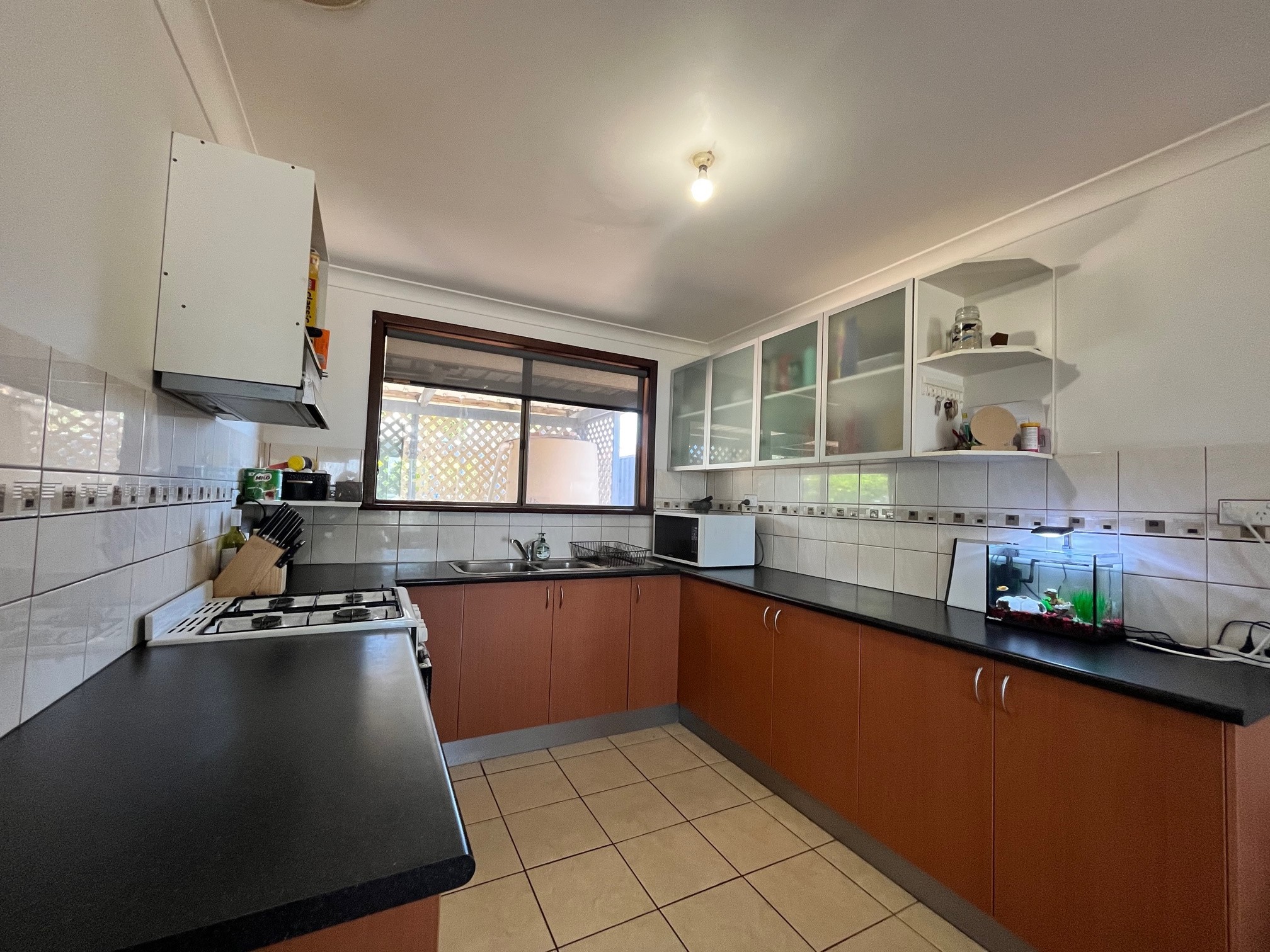 51 Waldeck Street, Dongara, WA 6525
