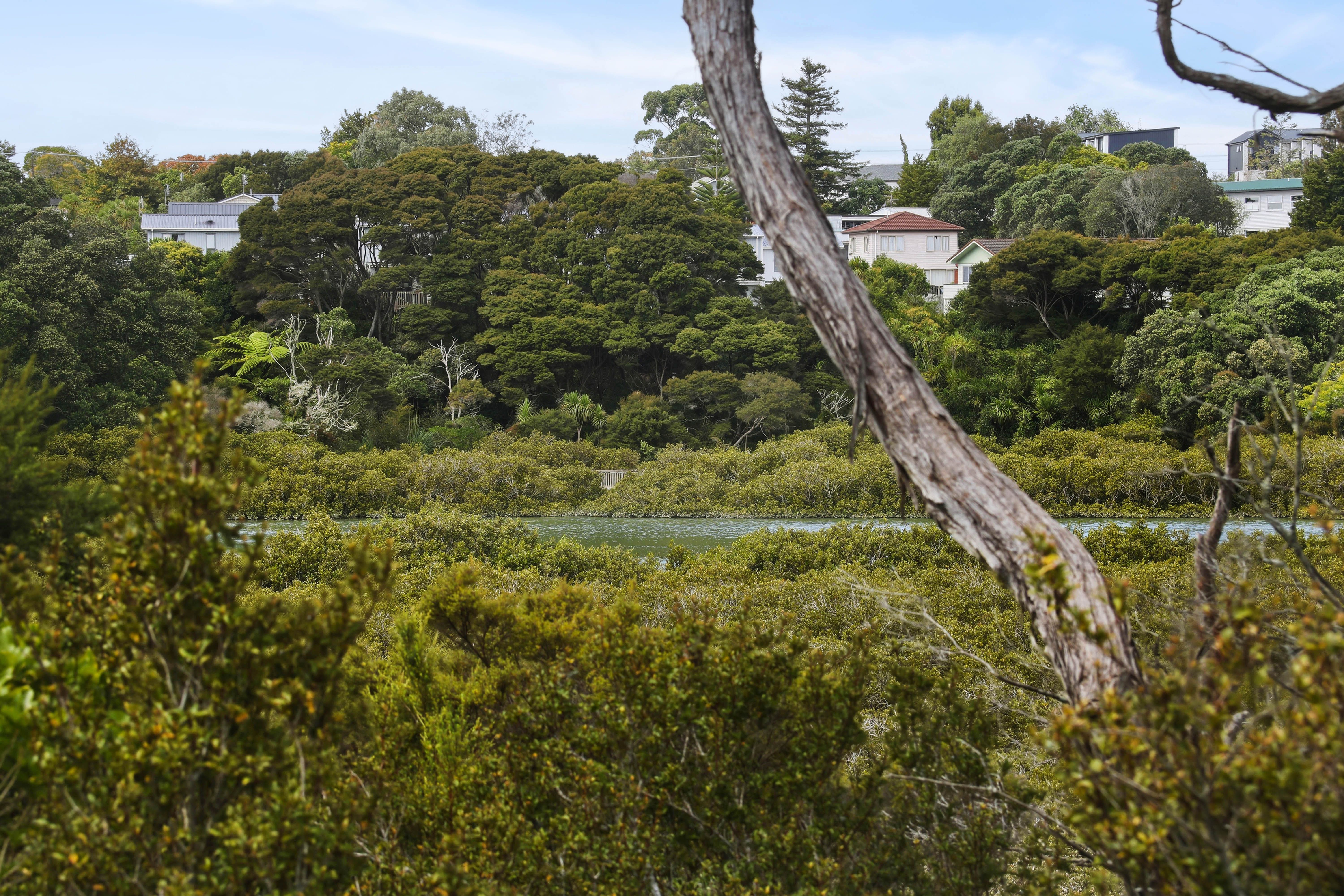 2/149 Colwill Road, Massey, Waitakere City