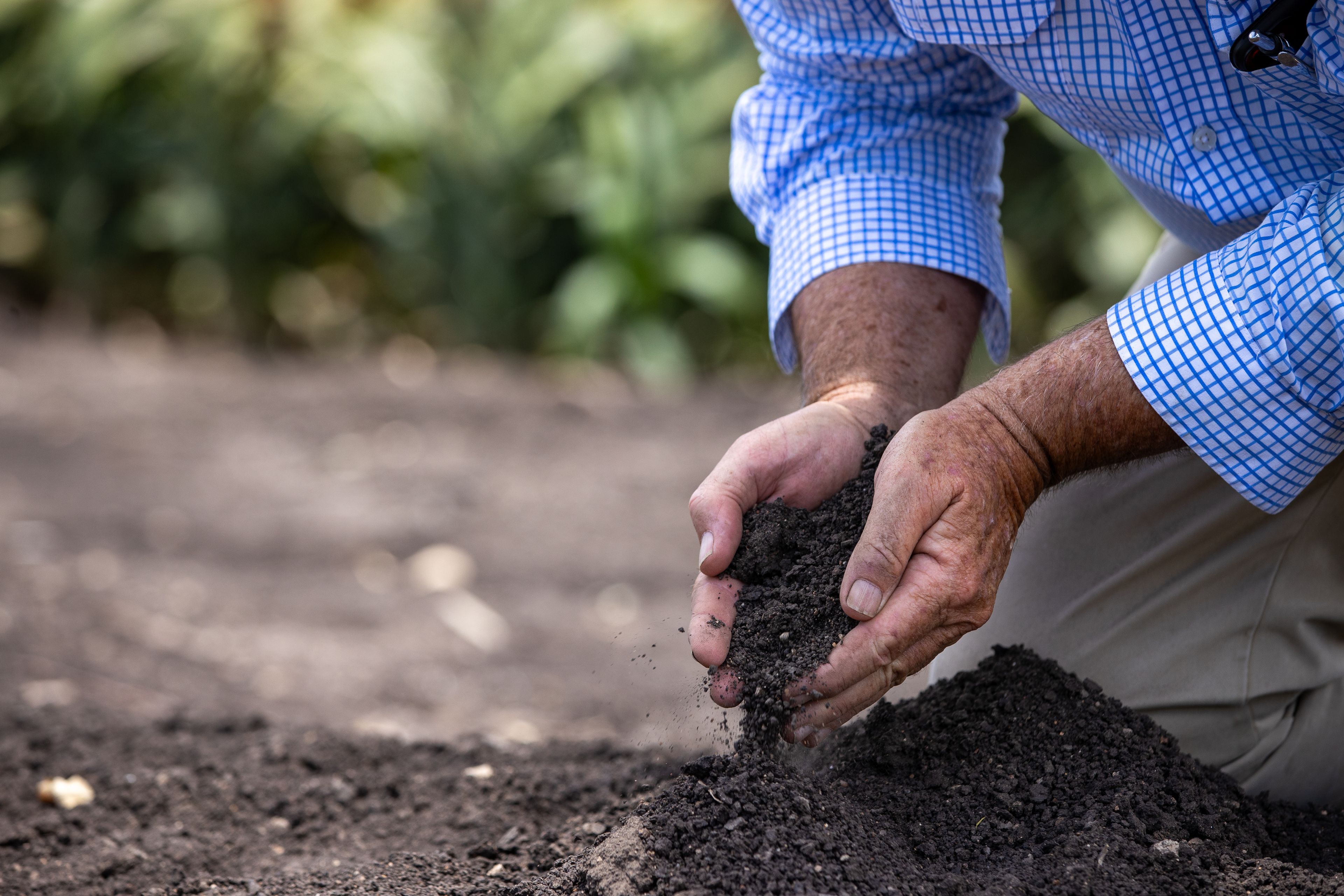 "Balmoral" 387 Balmoral Road, Brookstead, QLD 4364