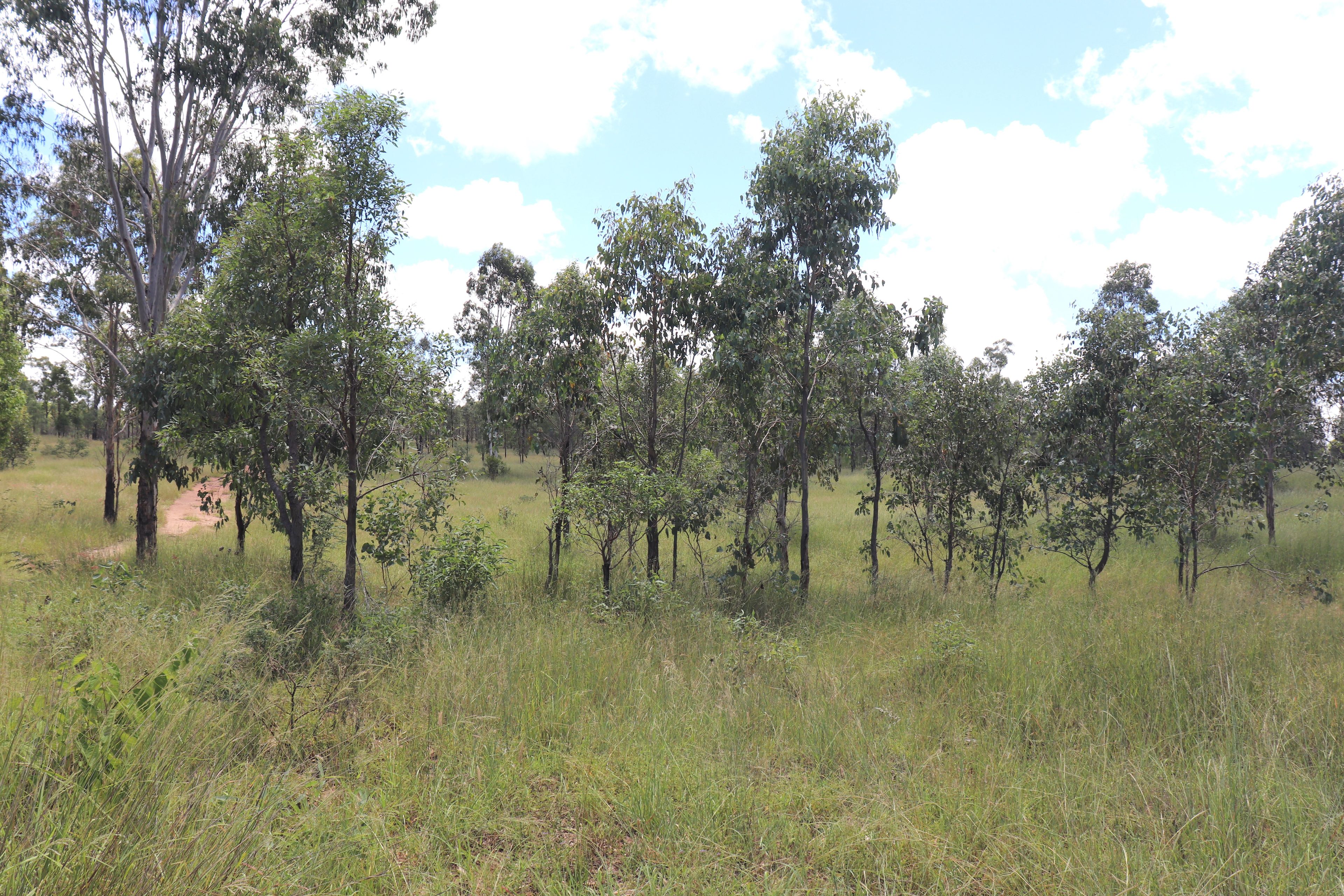 Lot 12 Deems Road, Monogorilby, QLD 4626 Rural Property for Sale