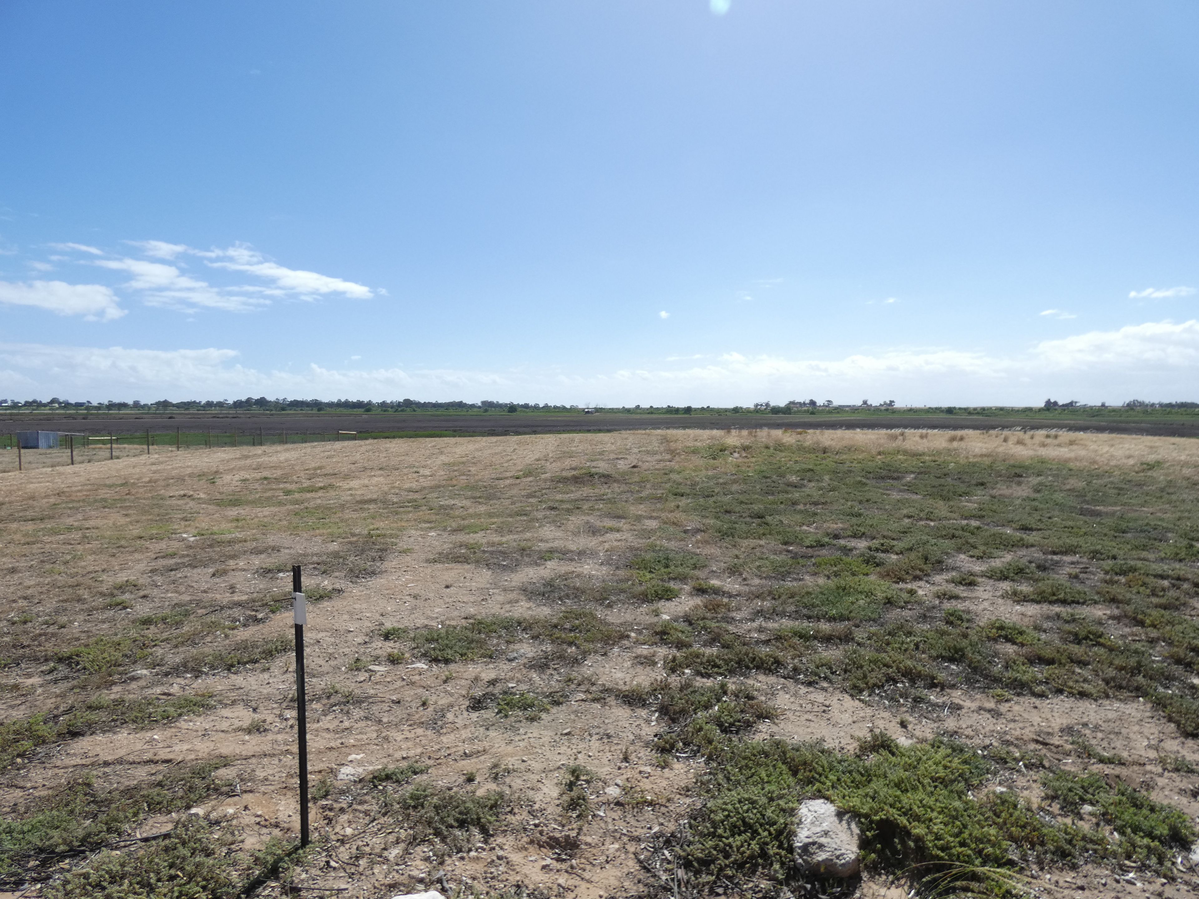 Lot 115 Kelsey Road, Wellington East, SA 5259