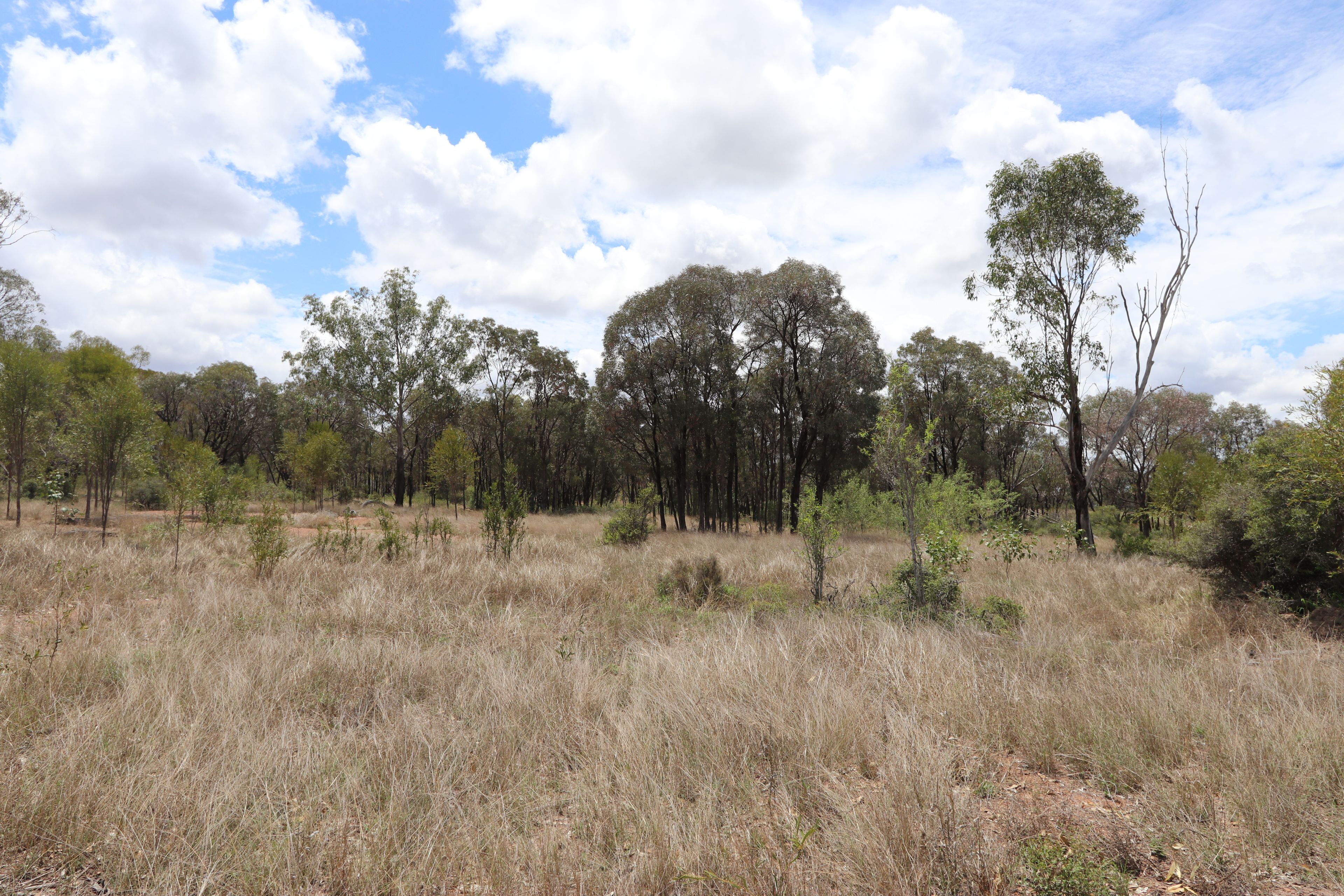 "Penlyn Hills" 811 Lowries Road — photo 18 of 18
