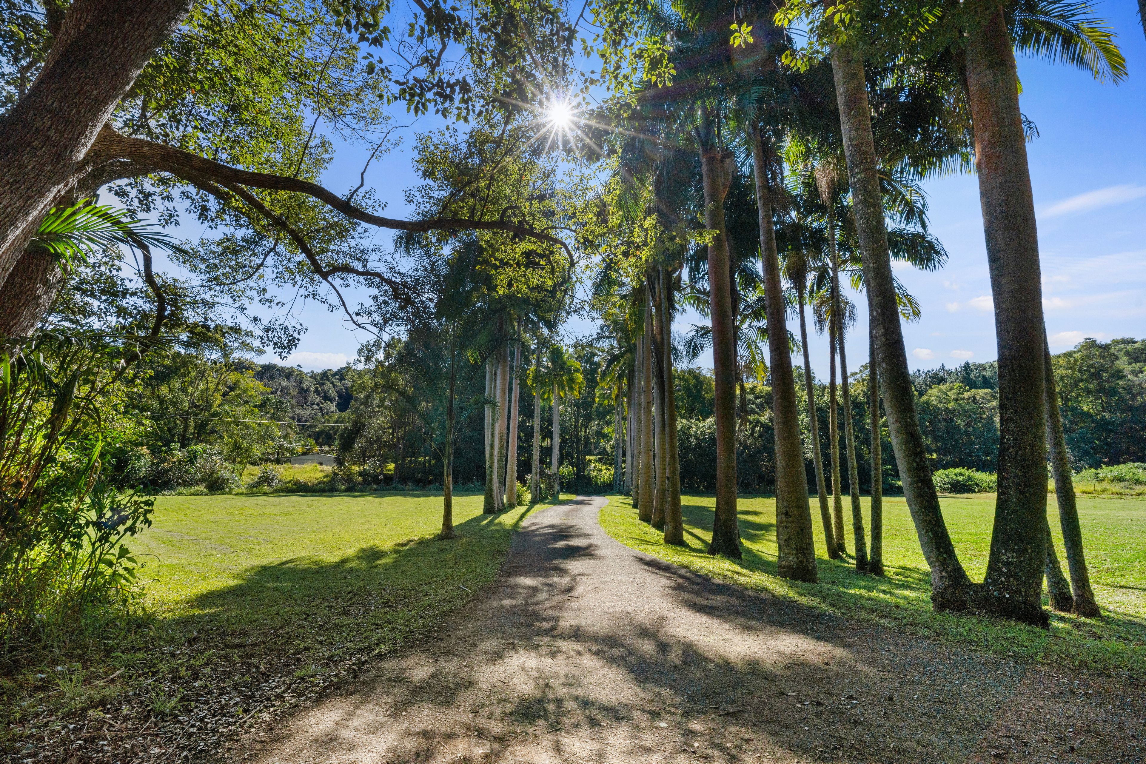 255 Chowan Creek Road — photo from Ray White Rural Murwillumbah