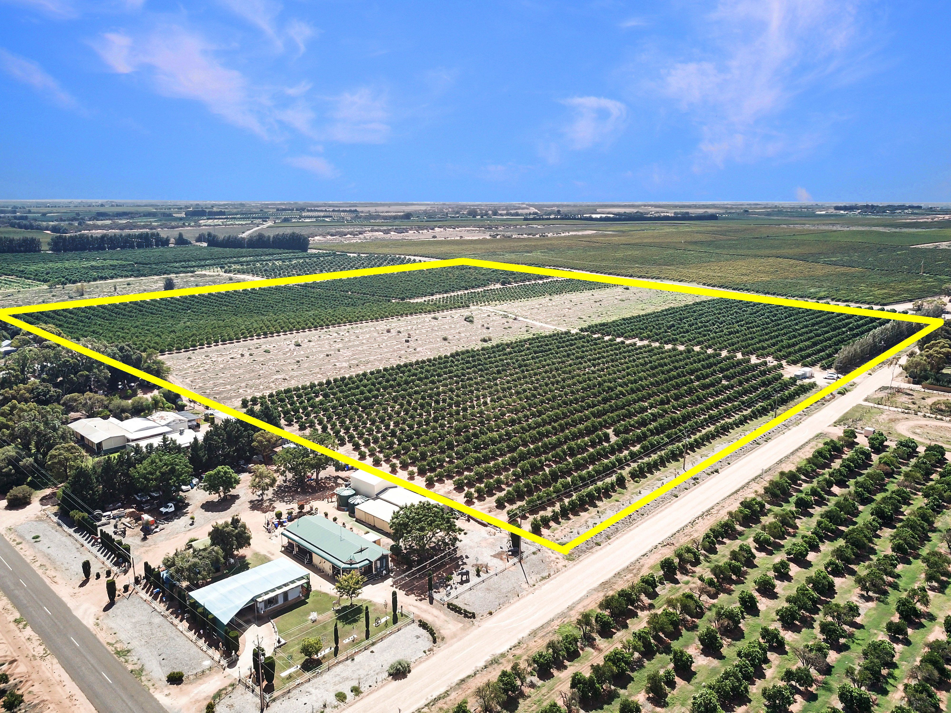 Lot 80 Foster Road — photo from Ray White Riverland