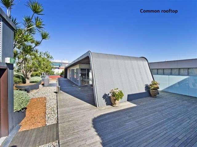 701/380 Harris Street, Pyrmont, NSW 2009