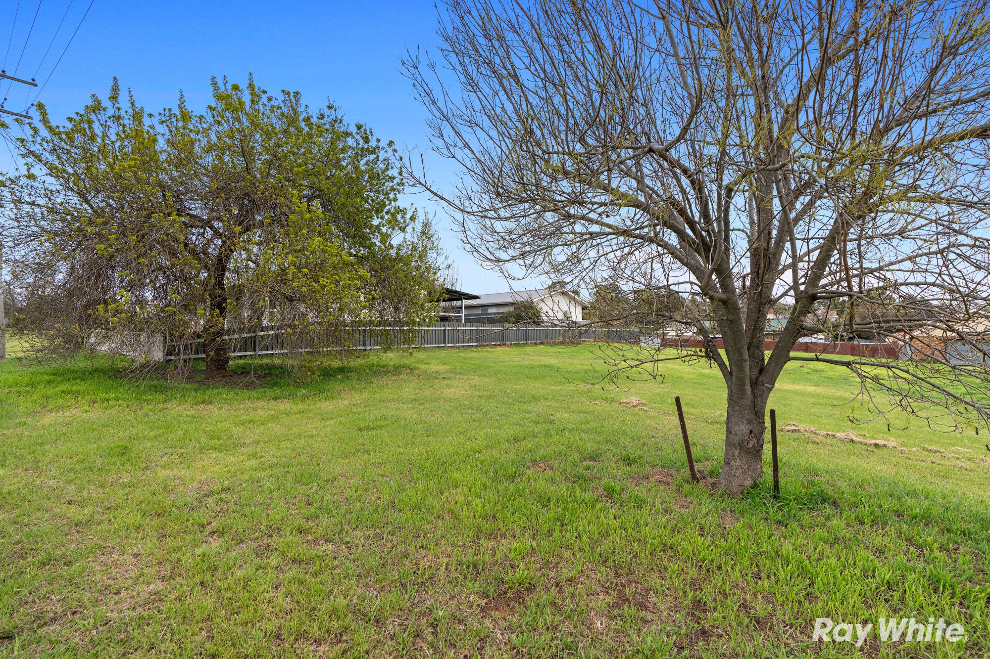 31 Percy Street, Junee, NSW 2663