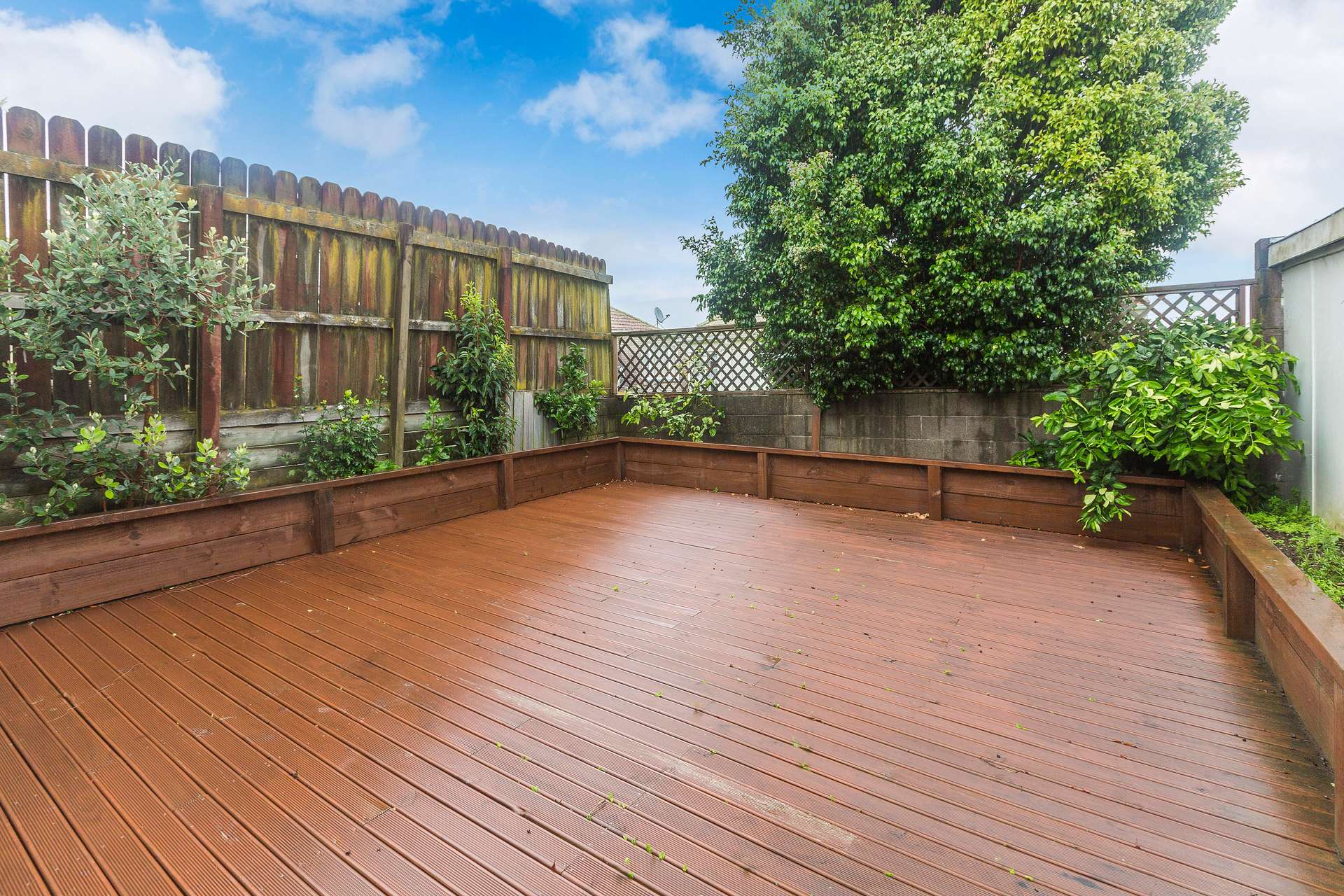 259B Mt Albert Road photo 1