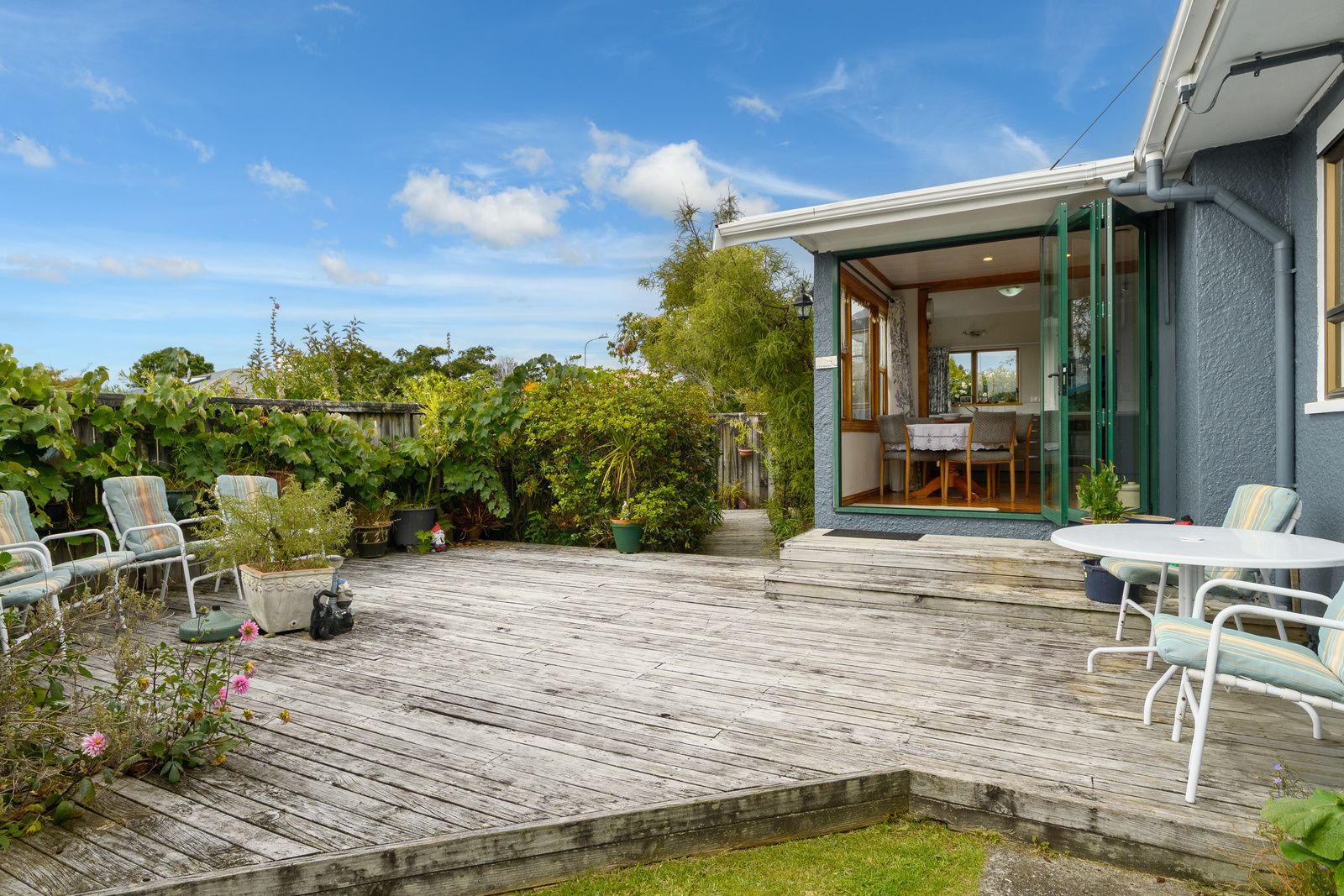 1 Seaforth Grove, Greerton, Tauranga City