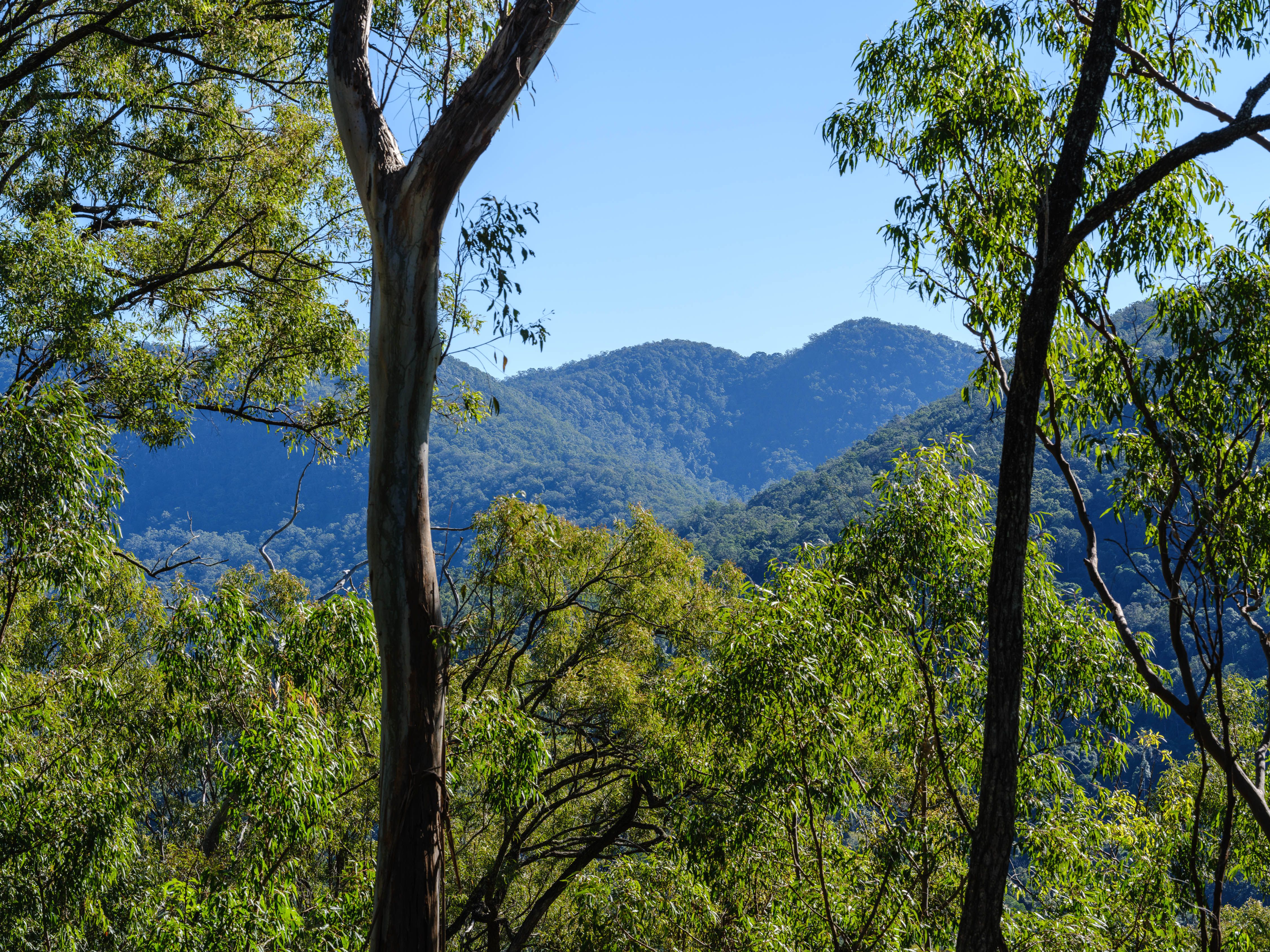 Cedar Creek 2.75 Hectares — photo 5 of 7