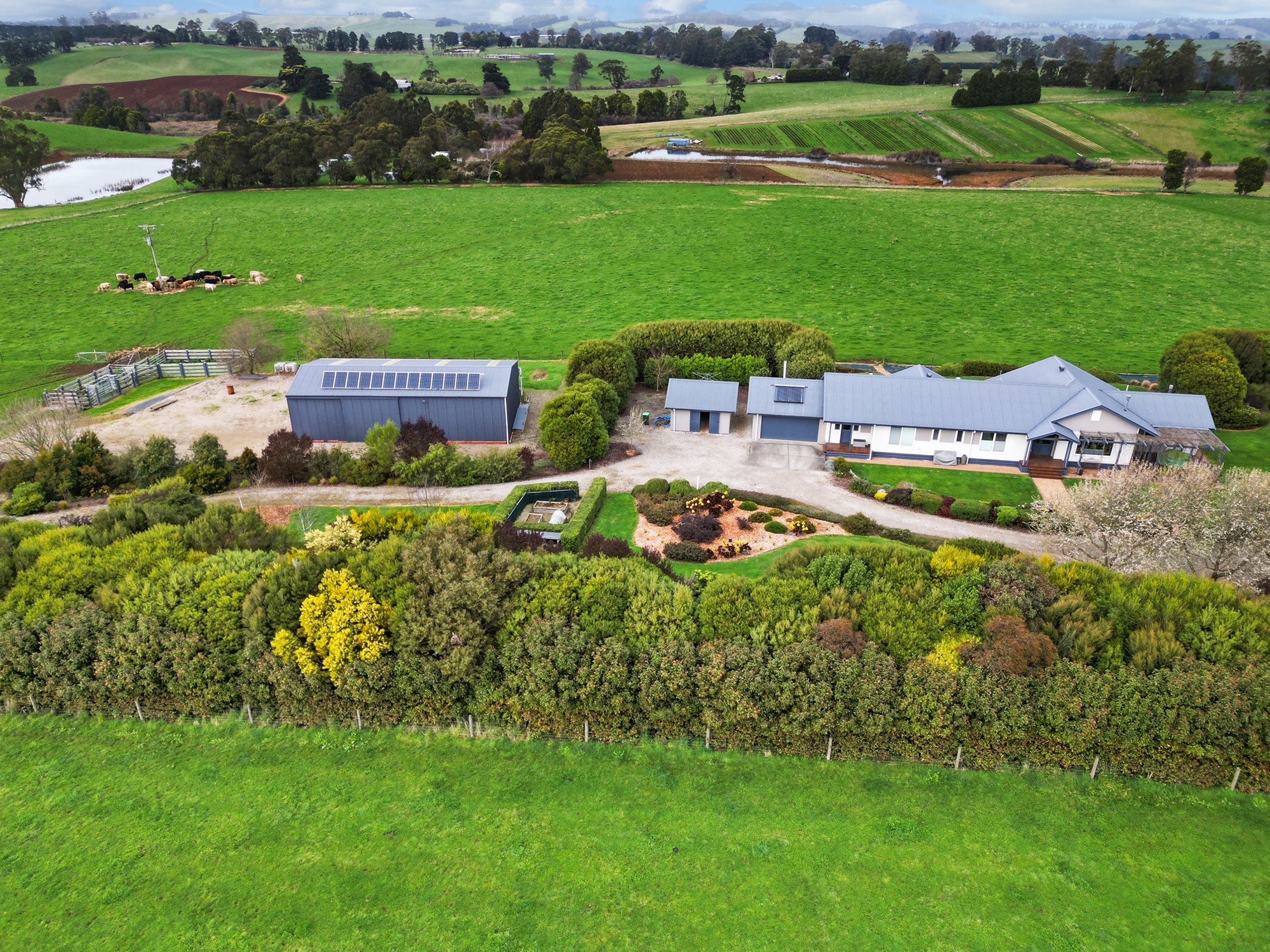 381 Chute Road, Thorpdale, VIC 3835