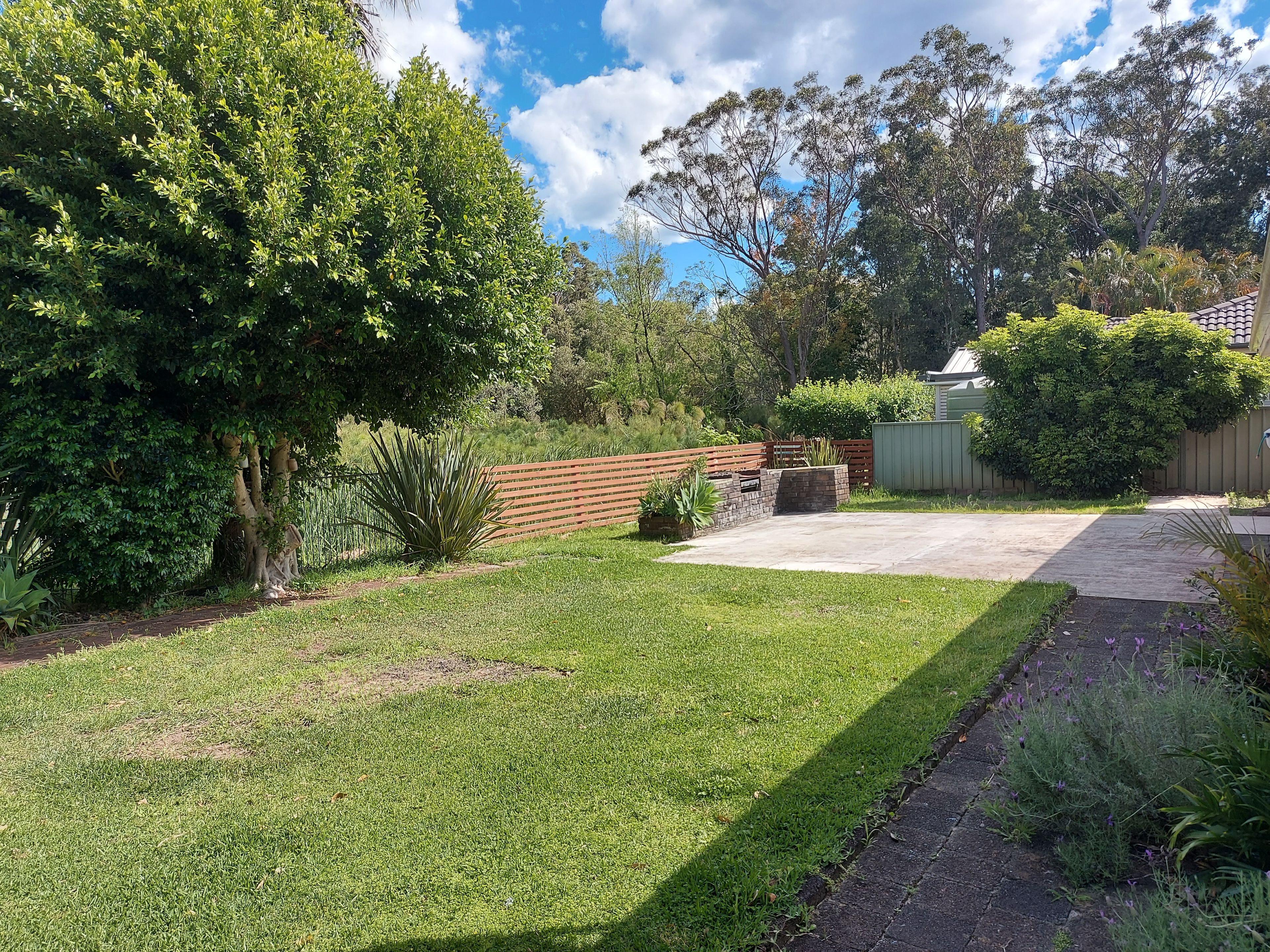 17 Wilks Avenue — photo 12 of 14