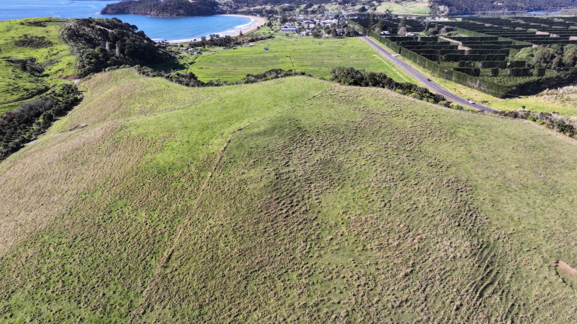 Lot 1 State Highway 10 photo 21