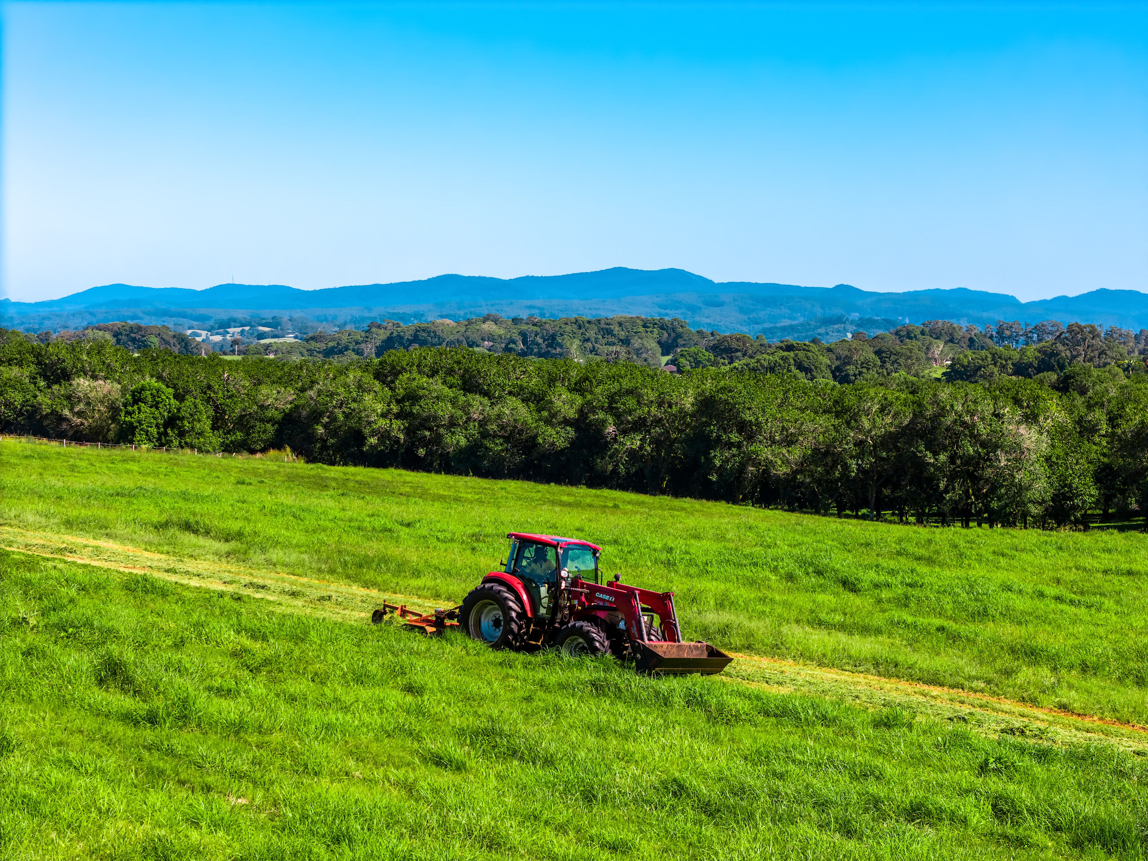 1050 Lismore Road, Nashua, NSW 2479