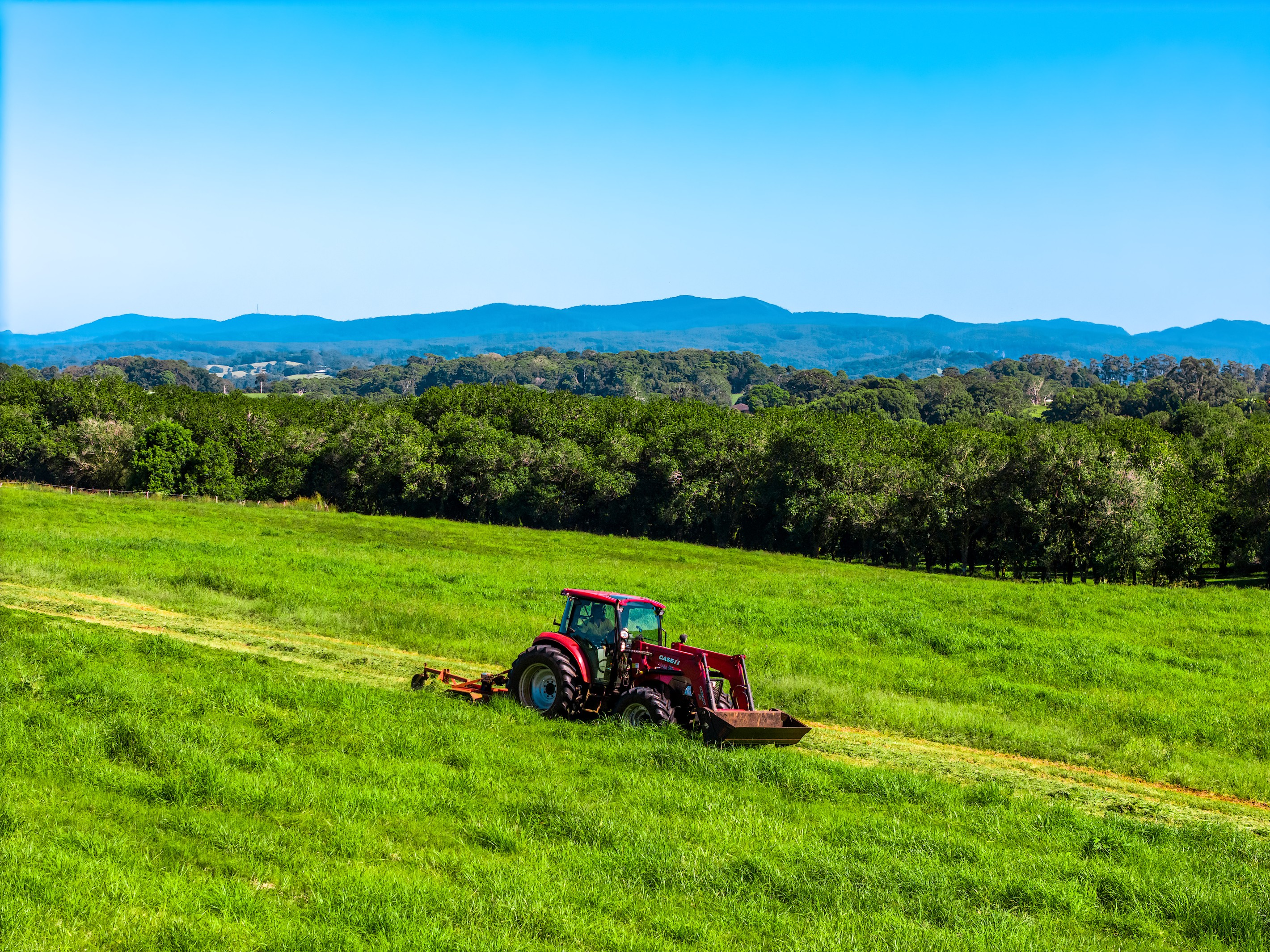 1050 Lismore Road, Nashua, NSW 2479